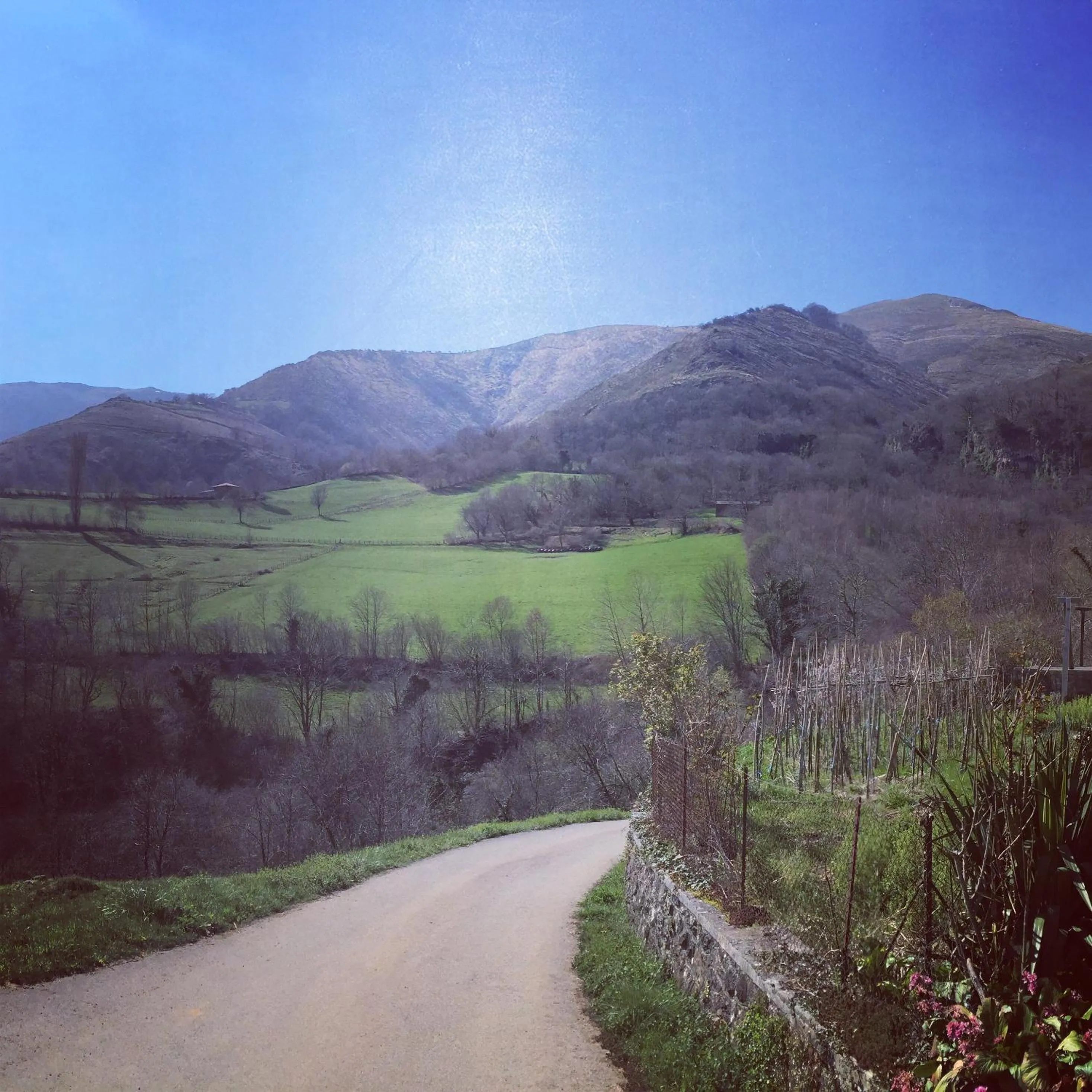 Off site in Casa Ferran, amplias habitaciones y apartamentos de montaña