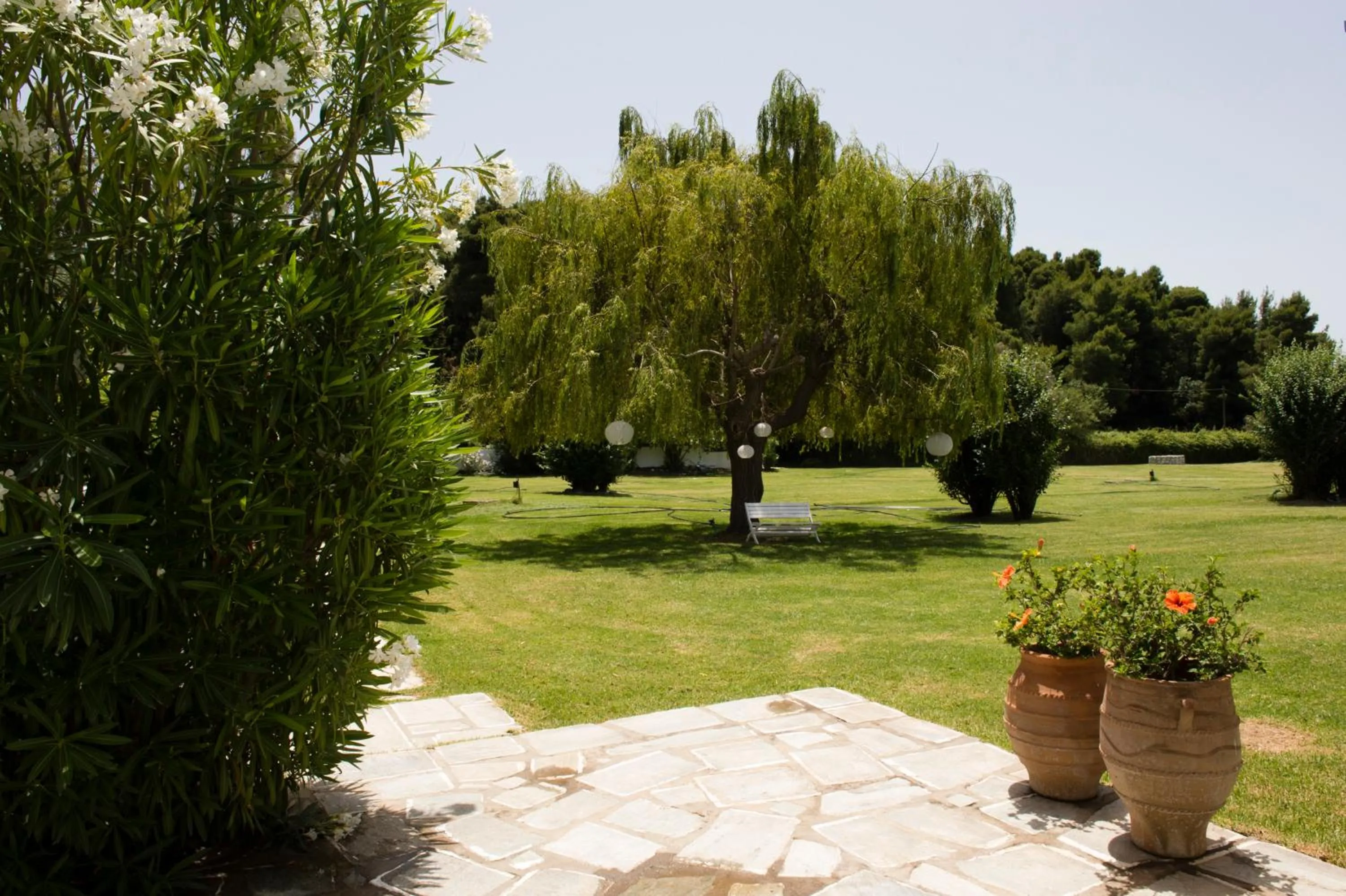 Garden in Skiathos Holidays Suites & Villas