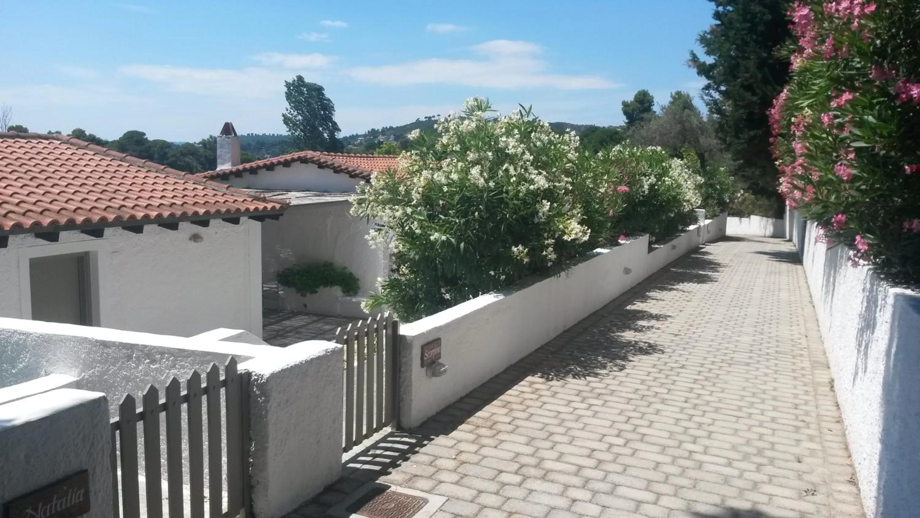 Property building in Skiathos Holidays Suites & Villas