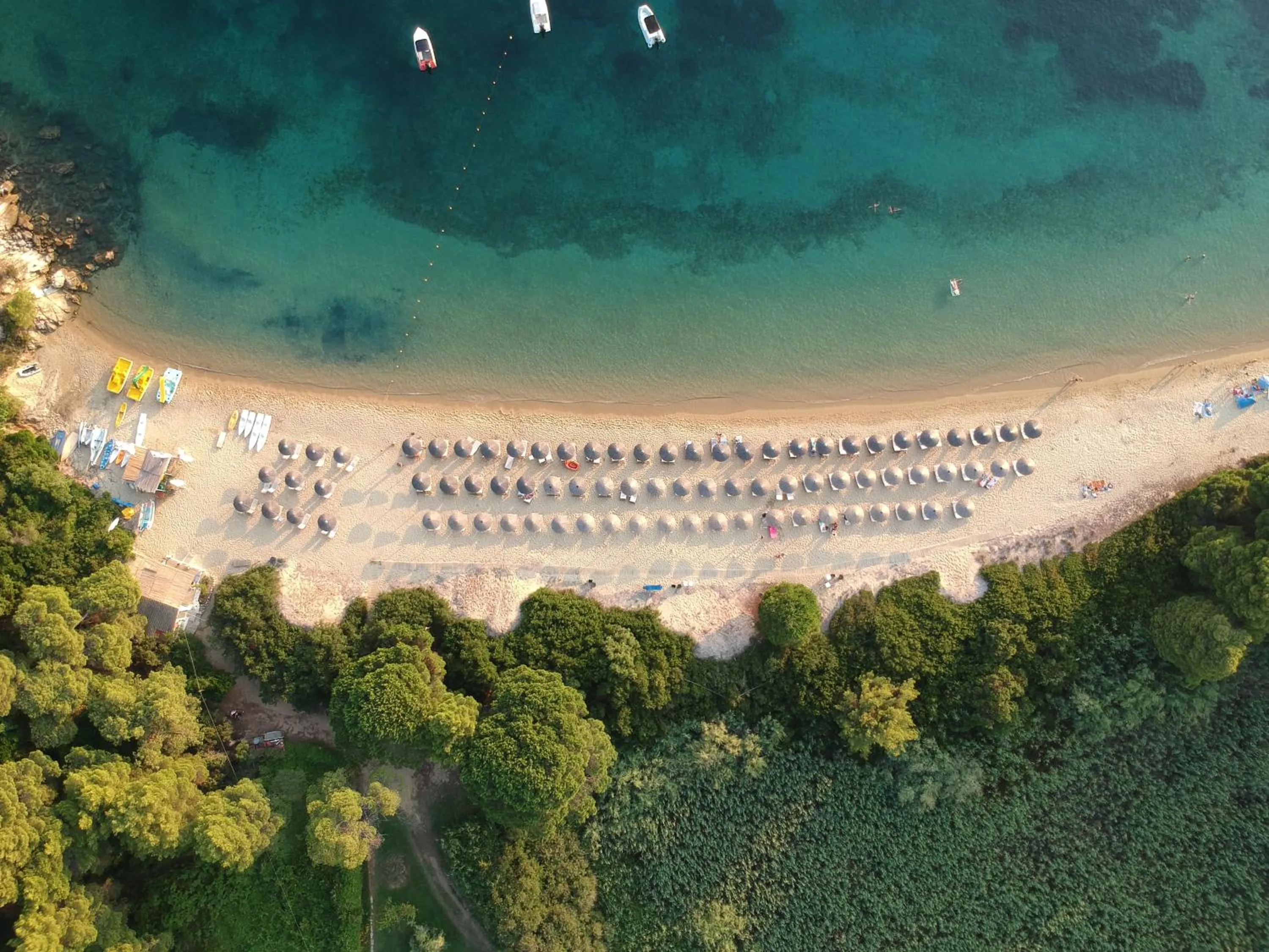Beach in Skiathos Holidays Suites & Villas