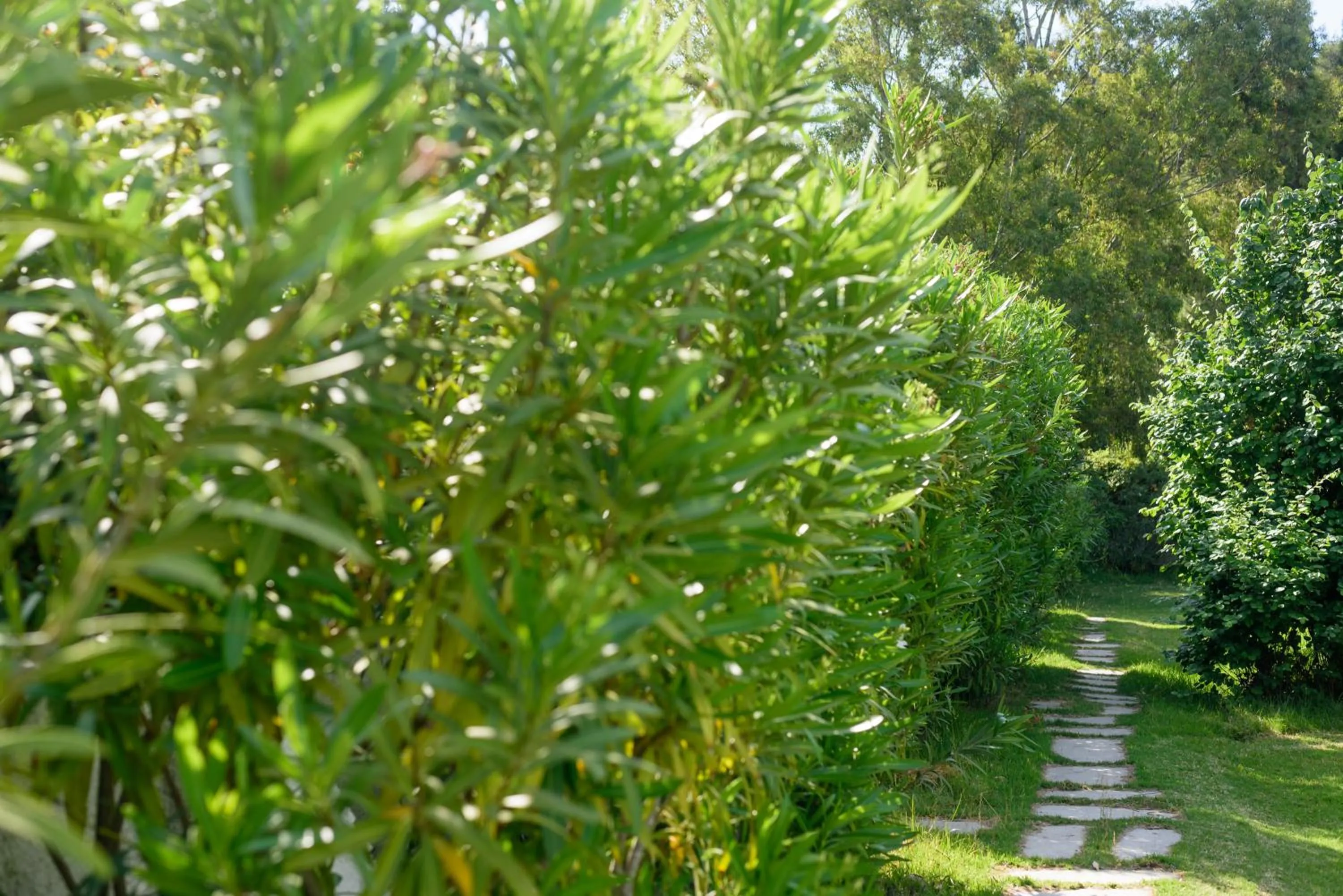 Decorative detail in Skiathos Holidays Suites & Villas