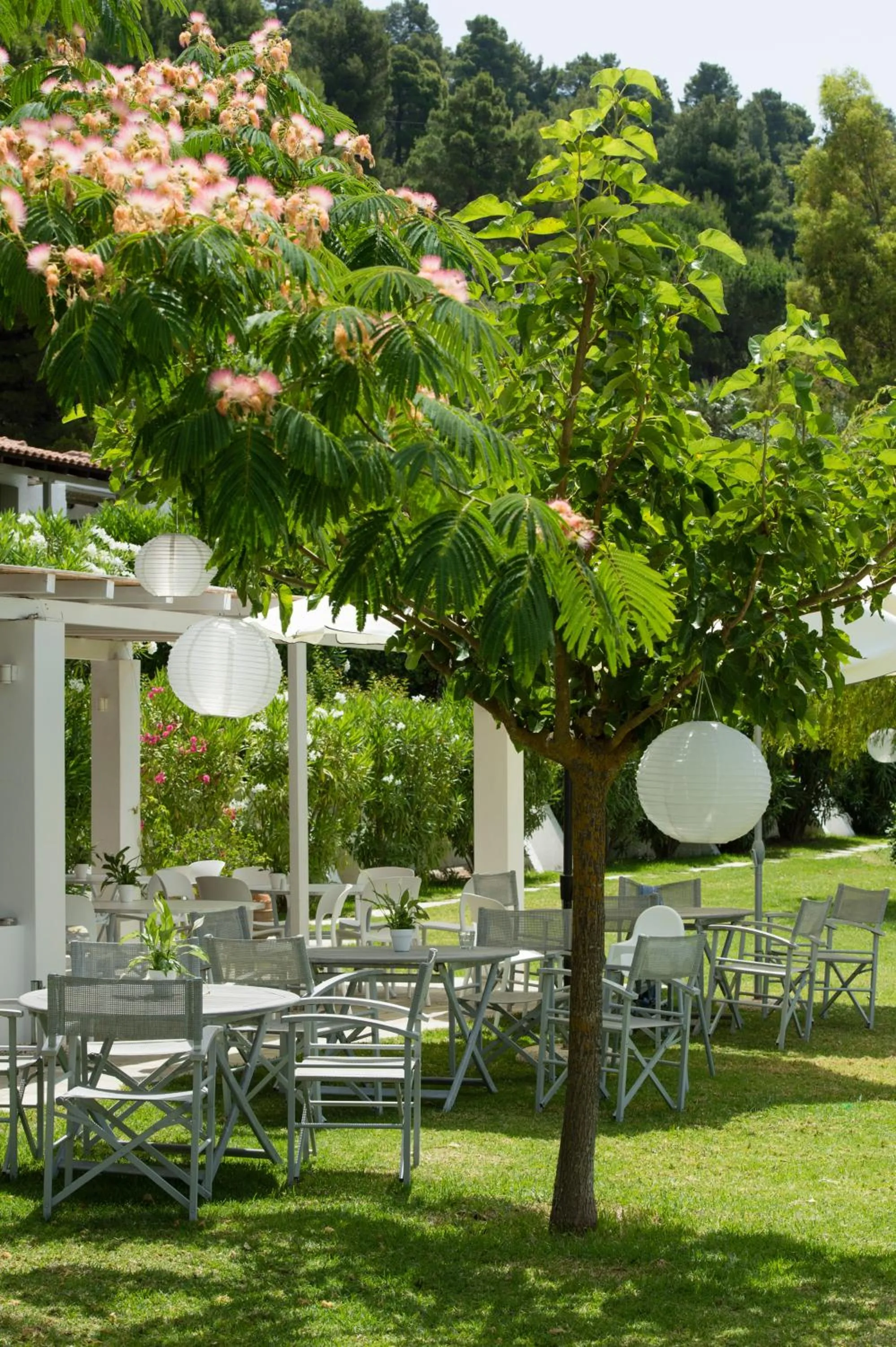 Lounge or bar in Skiathos Holidays Suites & Villas