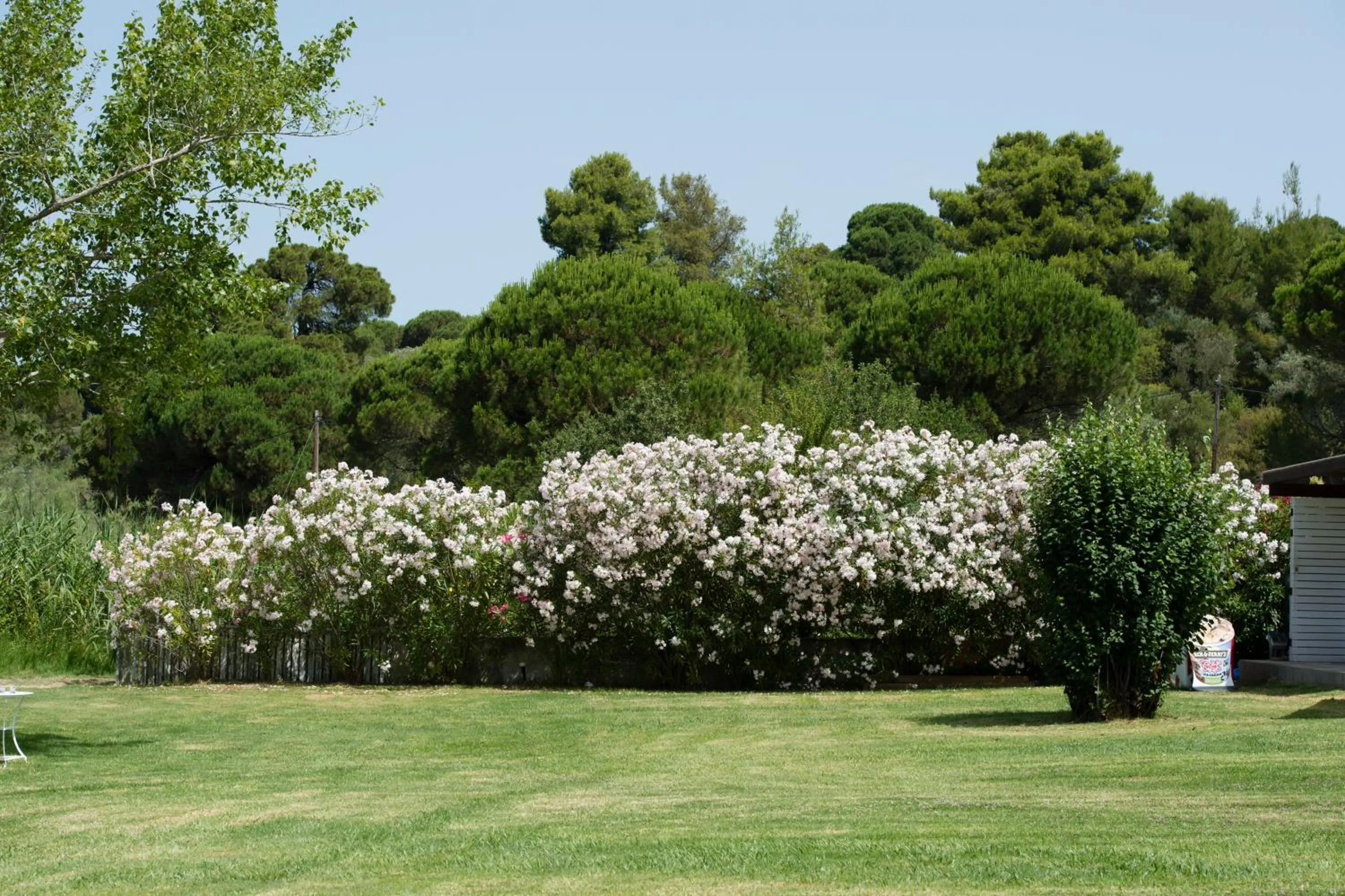 Garden in Skiathos Holidays Suites & Villas