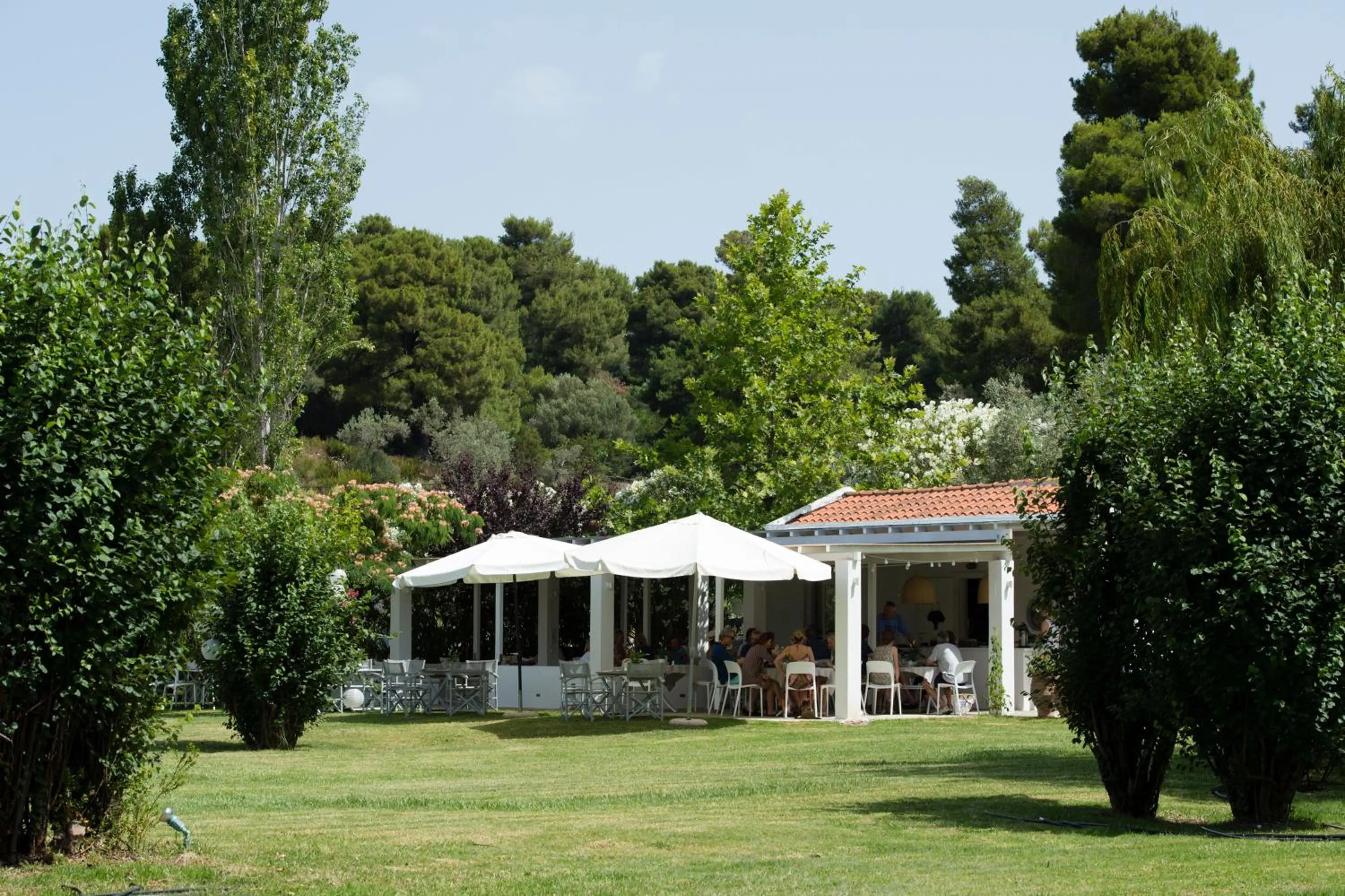 Property building in Skiathos Holidays Suites & Villas