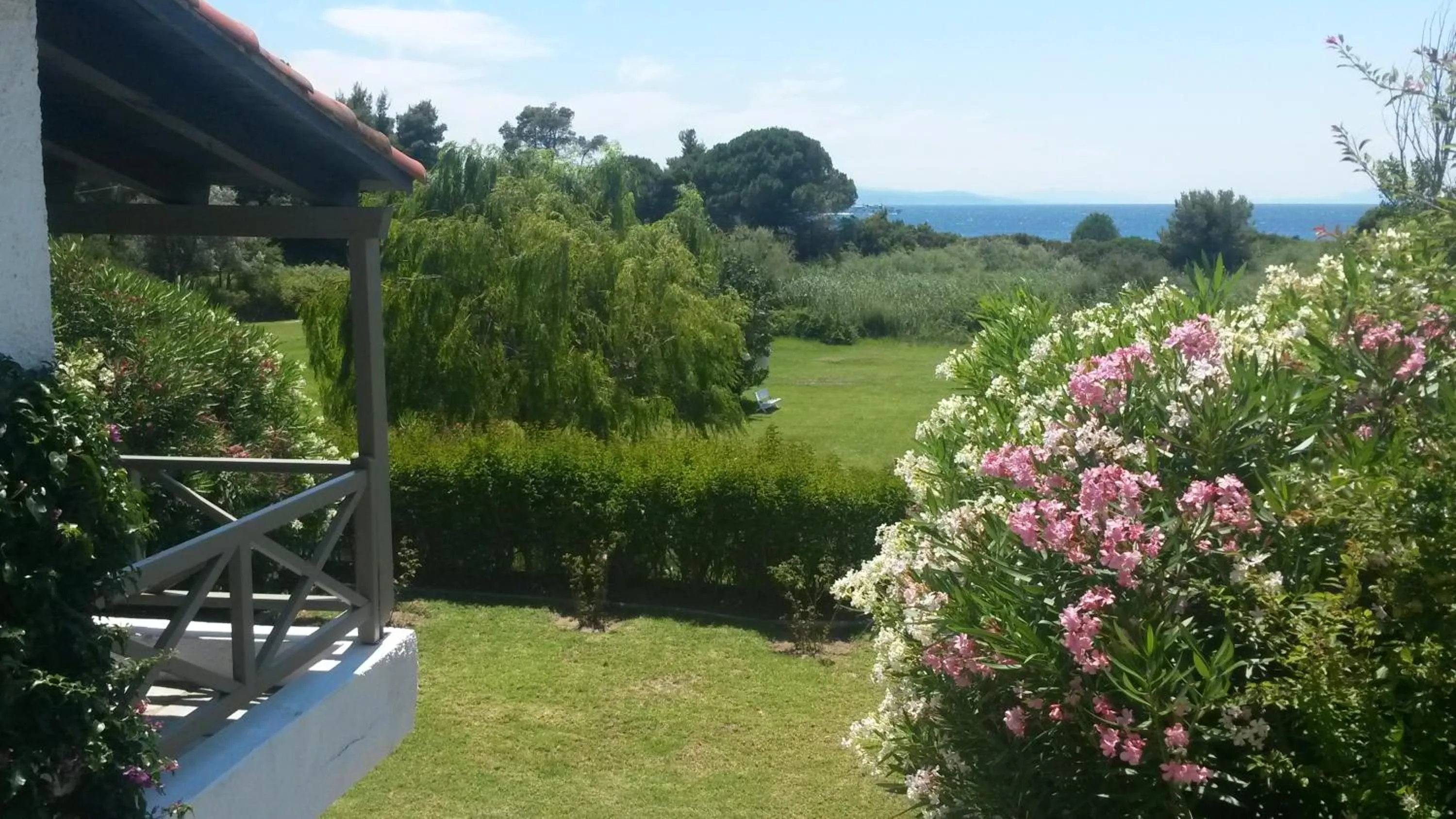 Garden view in Skiathos Holidays Suites & Villas