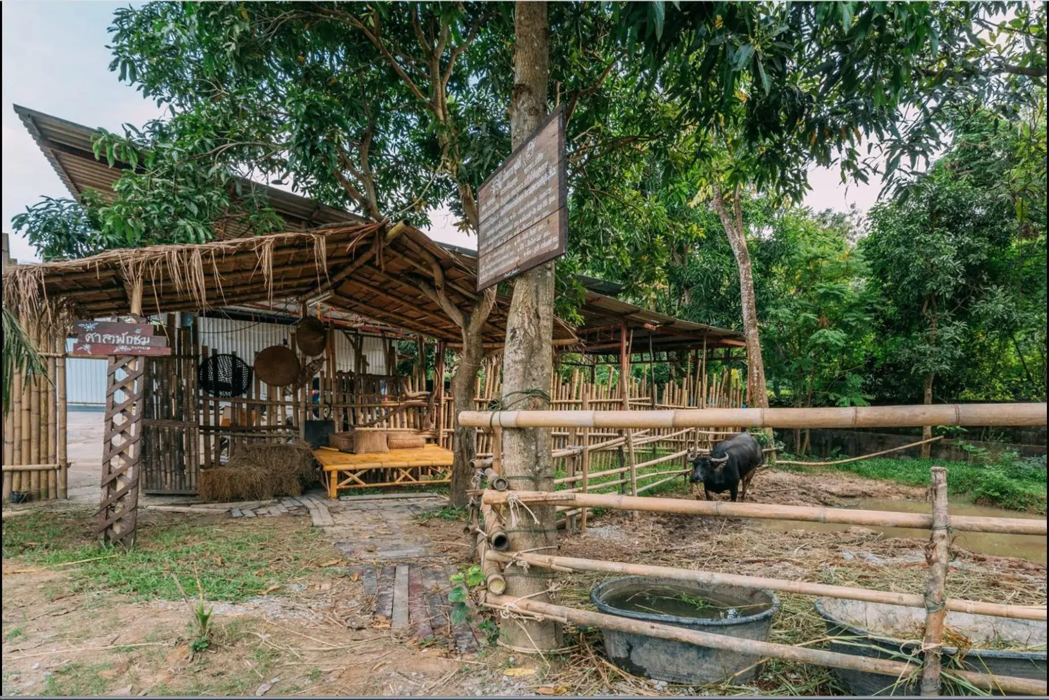 Deluxe Twin Room in Phuket Nonnita Boutique Resort - SHA Plus Deluxe Twin Room in Phuket Nonnita Boutique Resort - SHA Plus