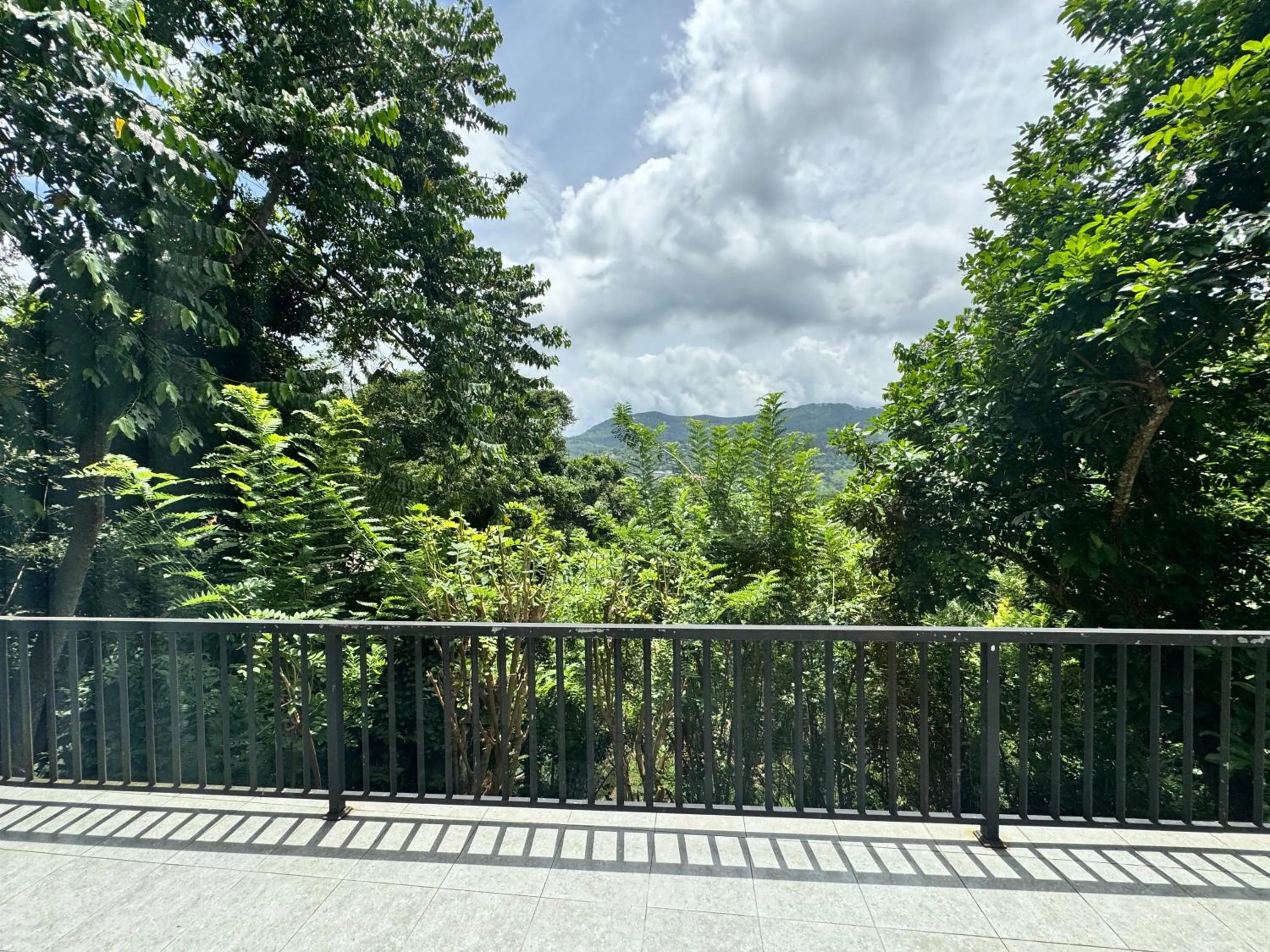 Mountain view in Selyna Sky Terrace