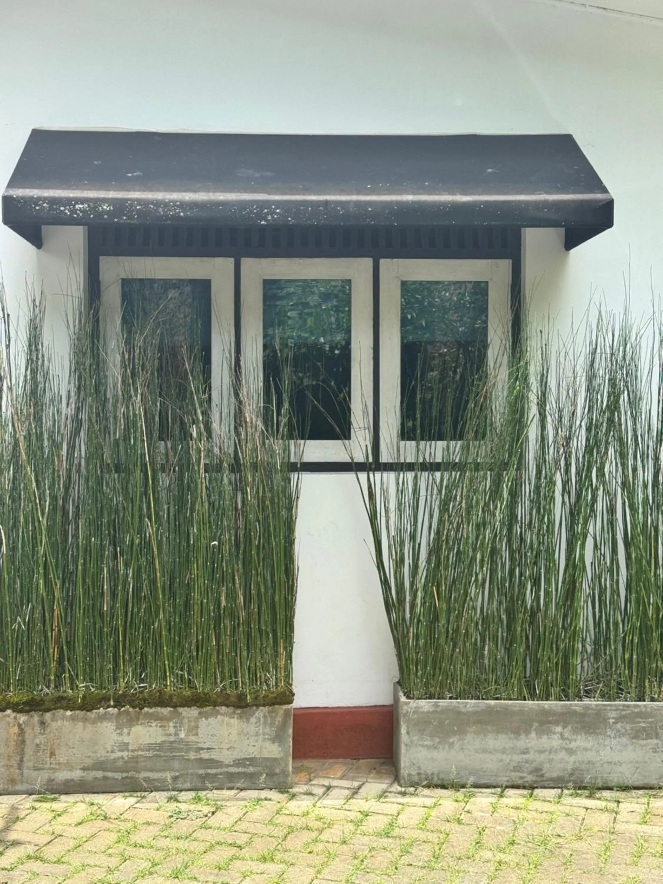 Property building in Selyna Sky Terrace