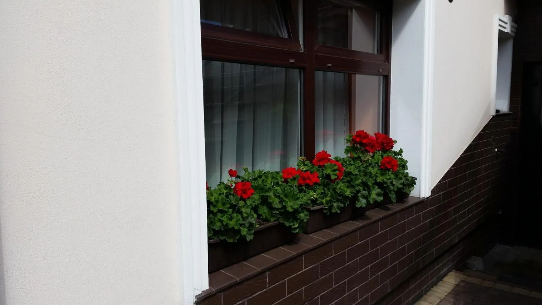 Property building in Villa Pod Dębem