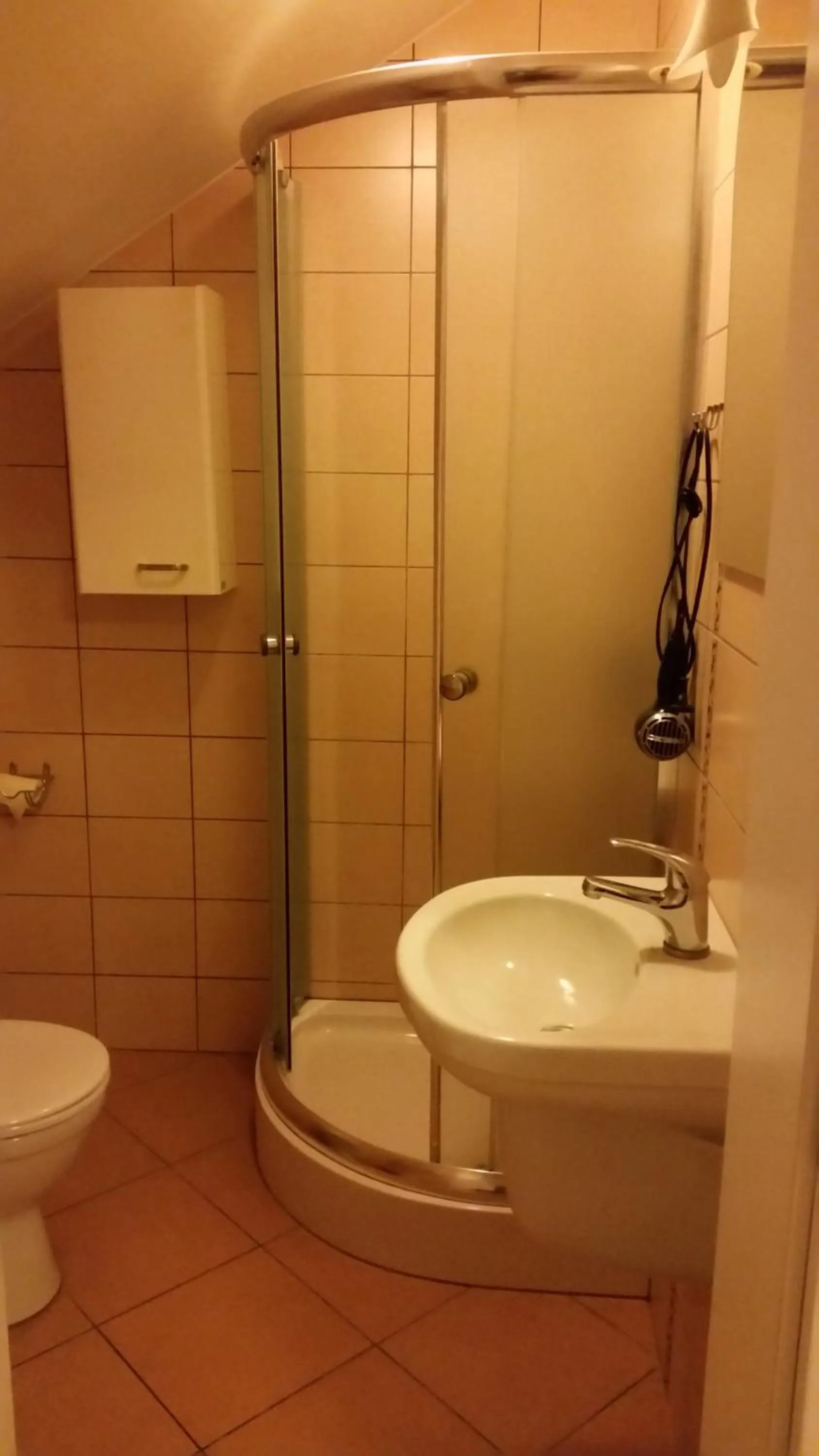 Bathroom in Villa Pod Dębem