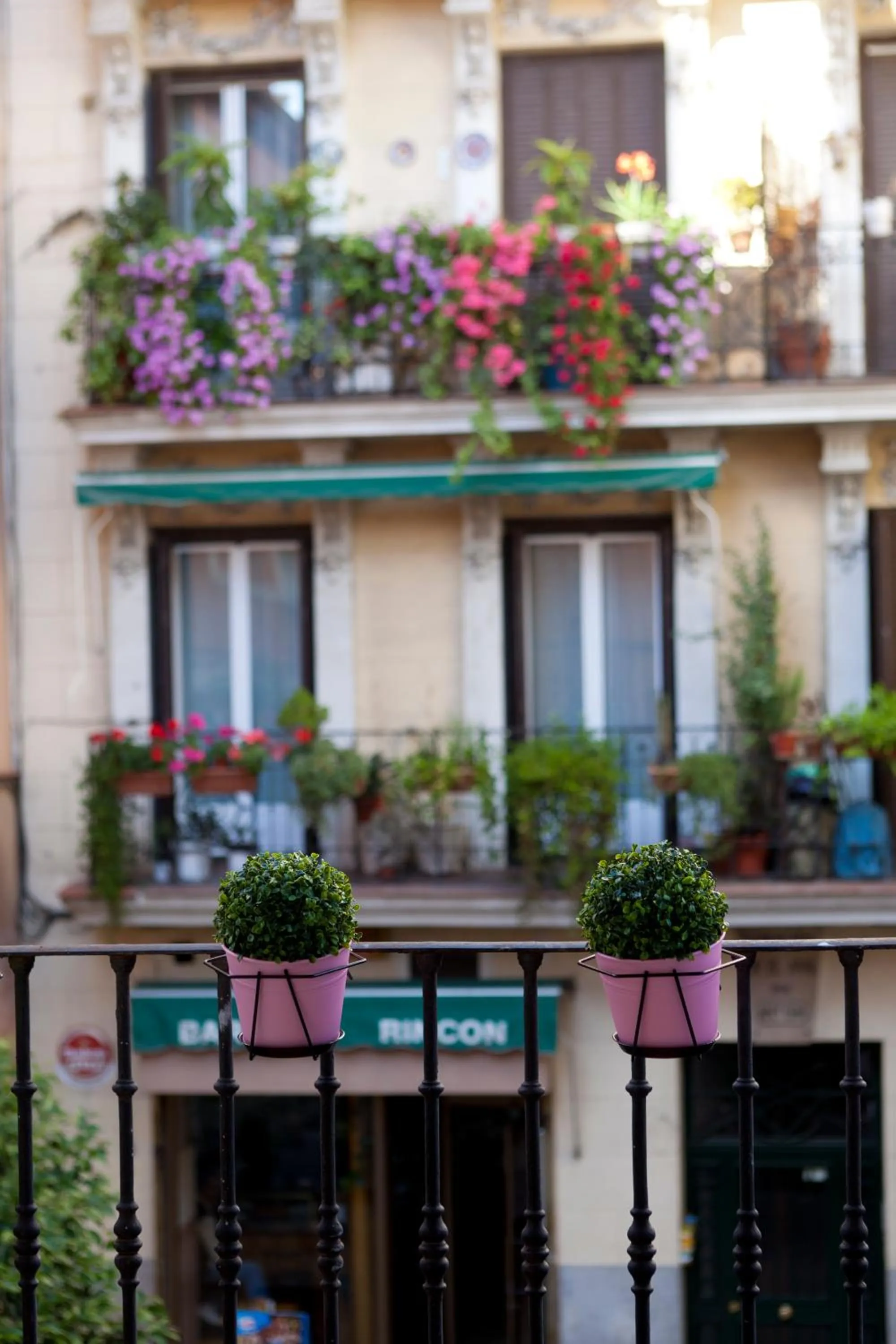 Balcony/Terrace in THC Latina Hostel