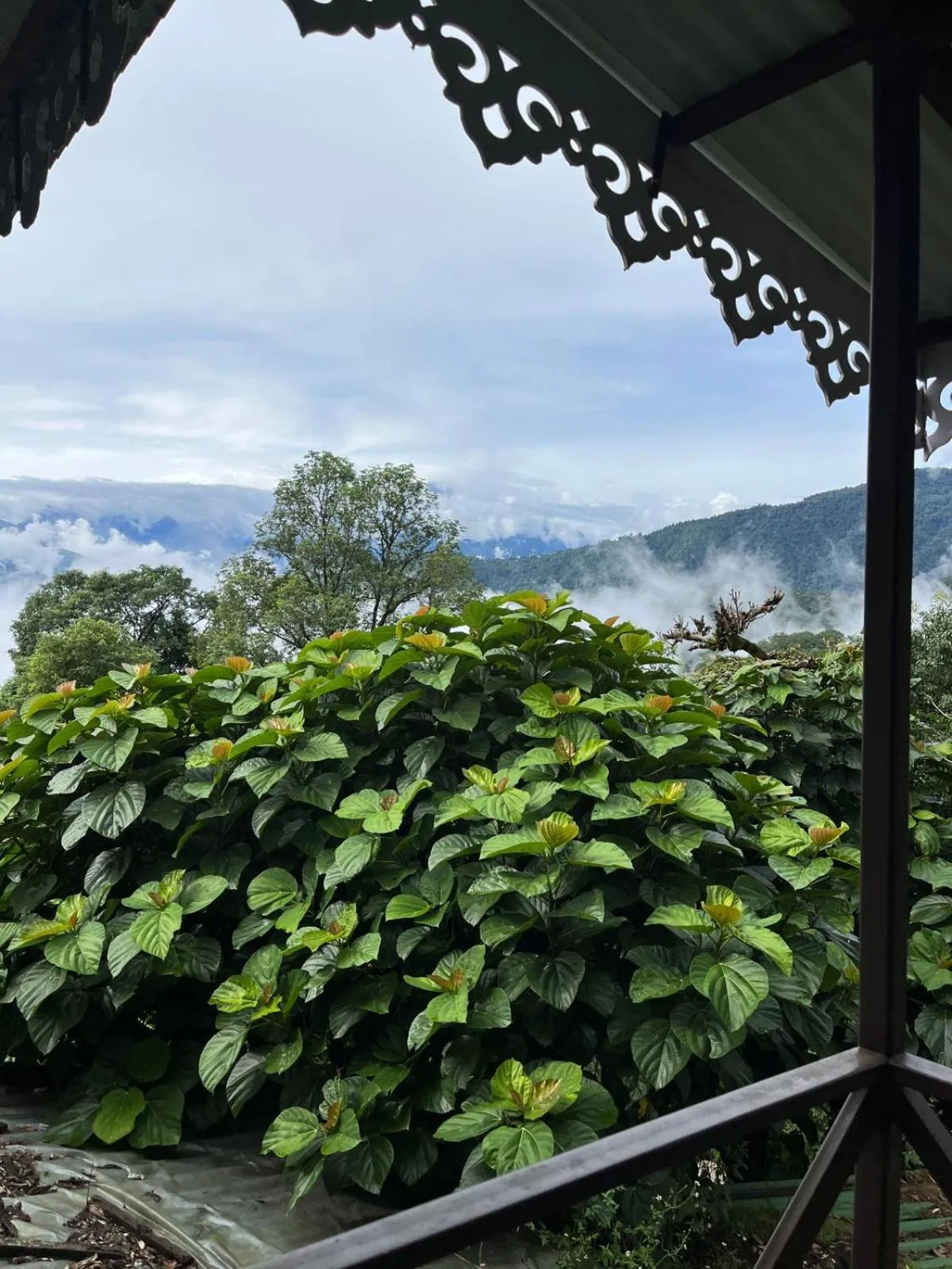 View (from property/room) in The Barfung Retreat