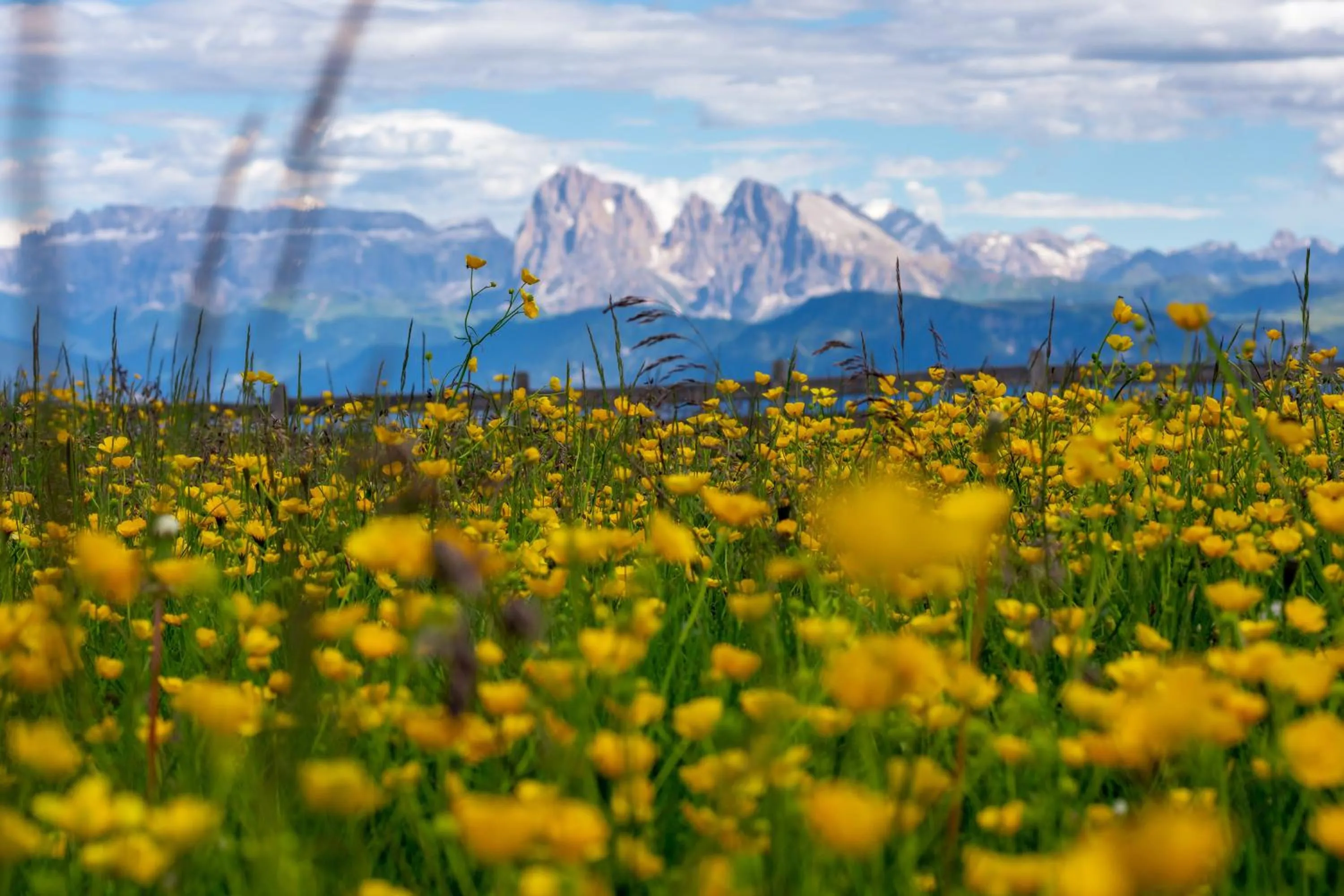 Natural landscape in Berglandhotel Untertheimerhof