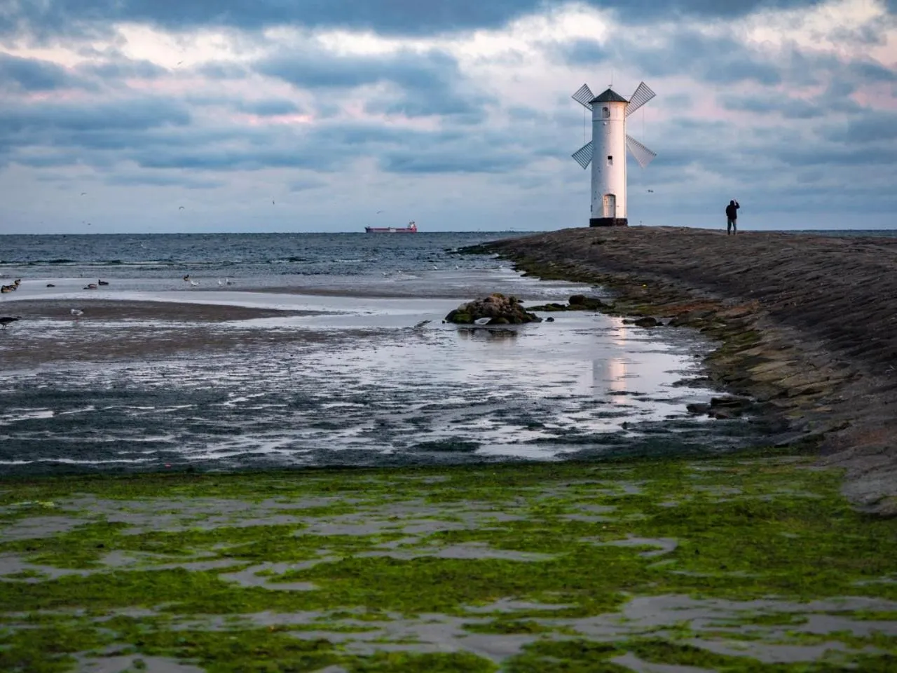 Natural landscape in Lazur Apartamenty