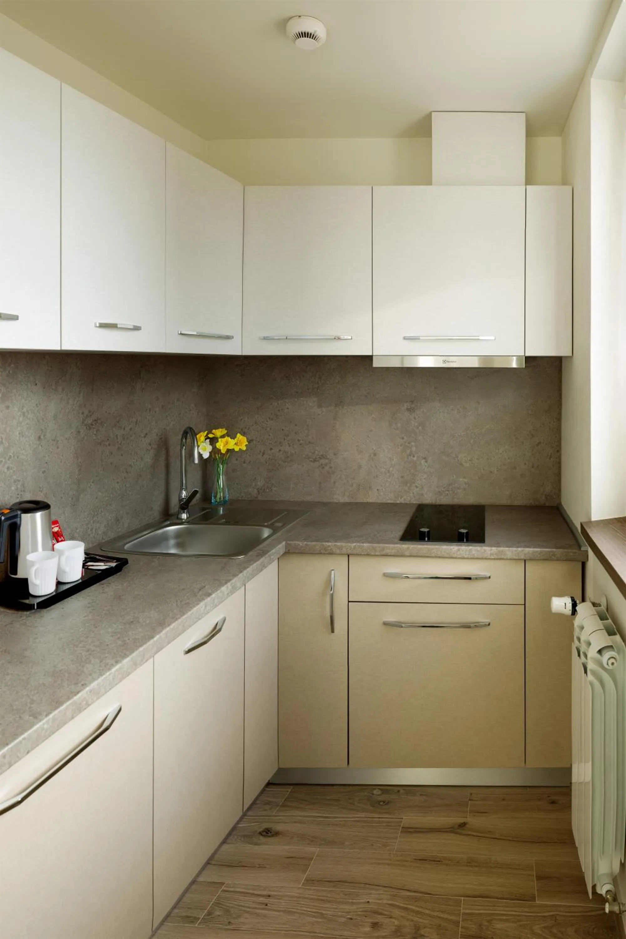 Kitchen or kitchenette in Plaza35