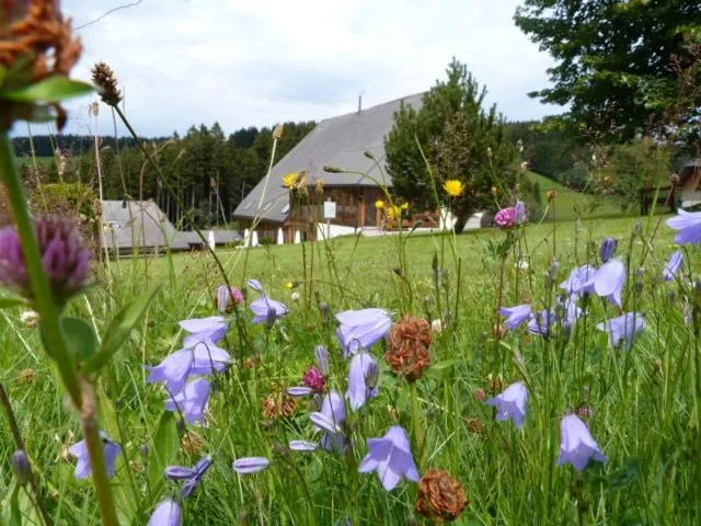 Garden in ThälerHäusle