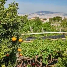 City view in Bed & Breakfast Fuocomuorto