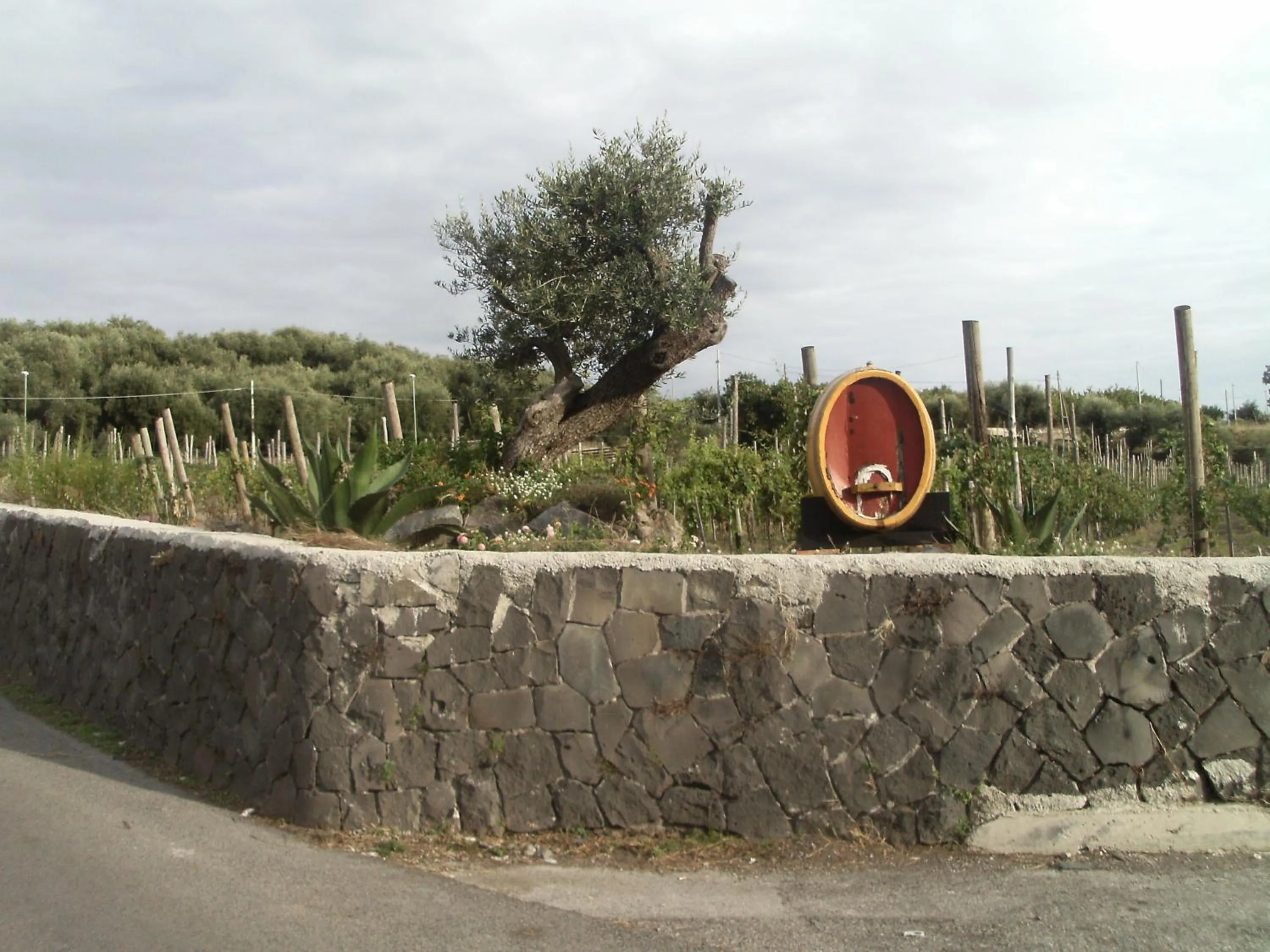 On site in Bed & Breakfast Fuocomuorto