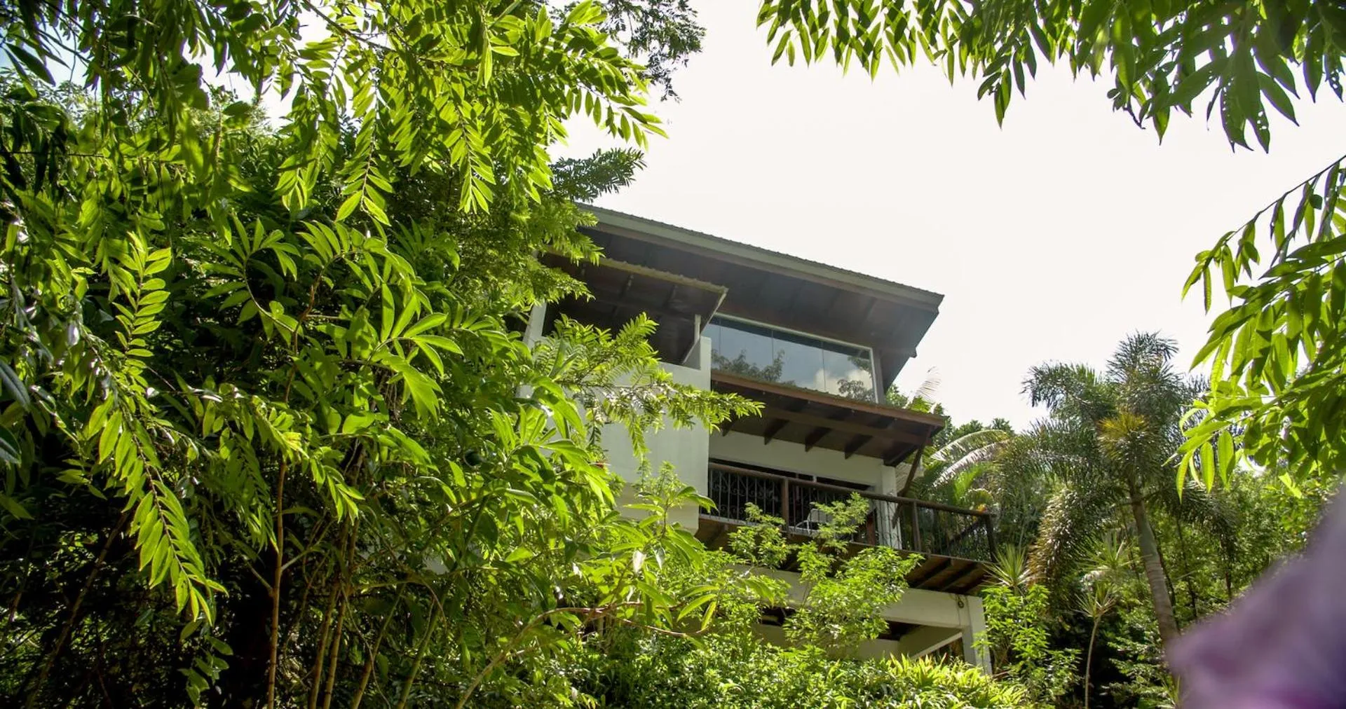 Property building in The Dusun