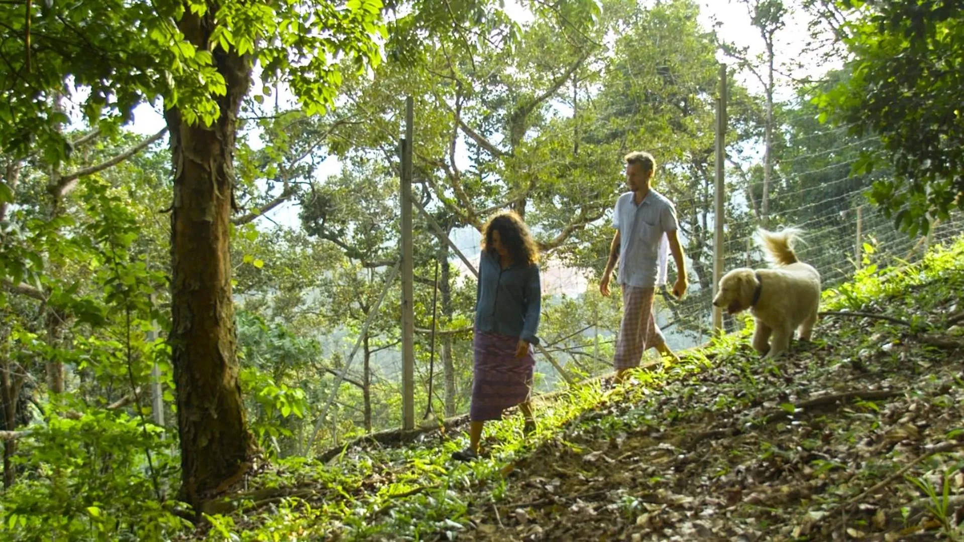 Activities in The Dusun