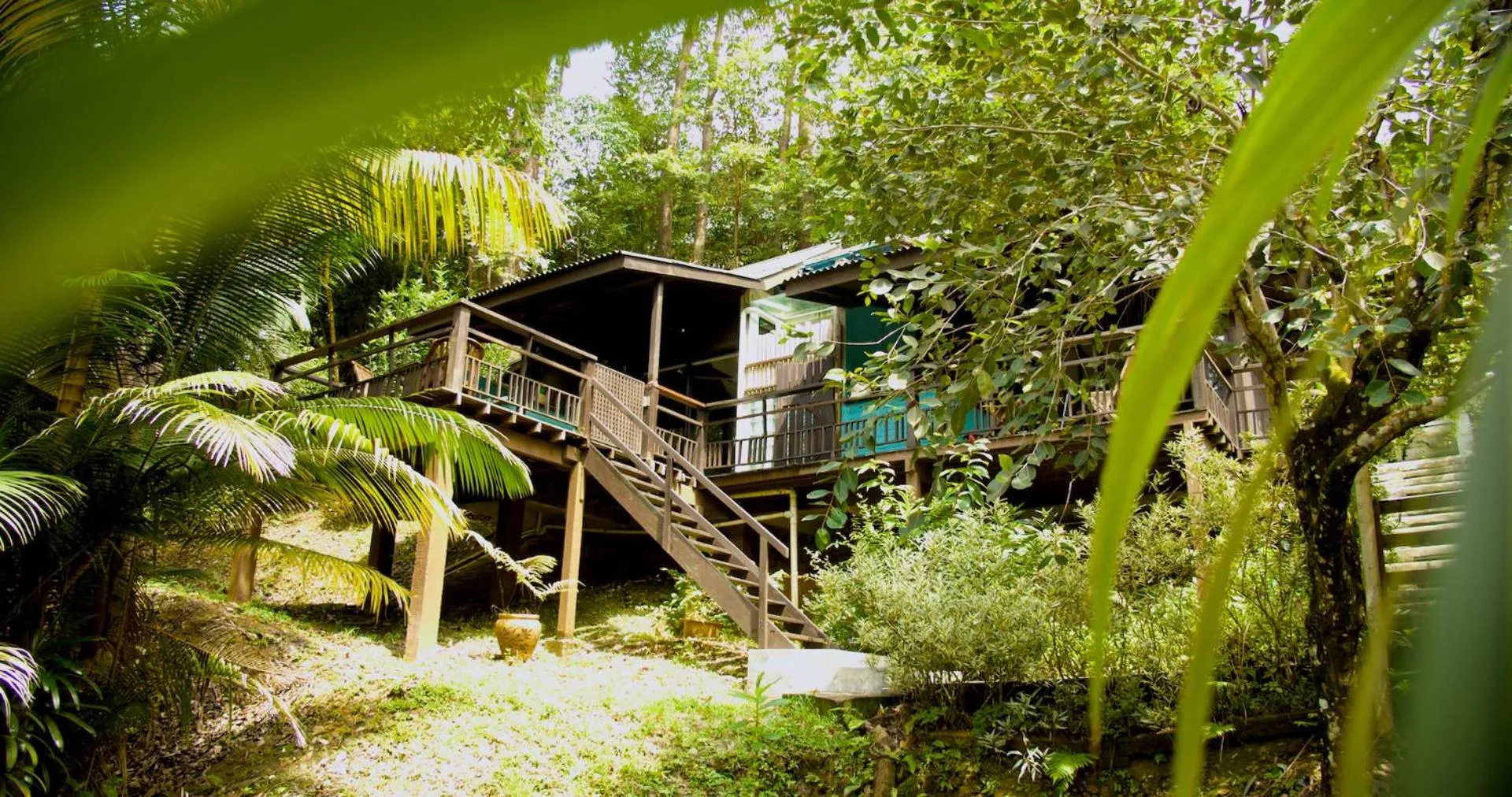 Property building in The Dusun