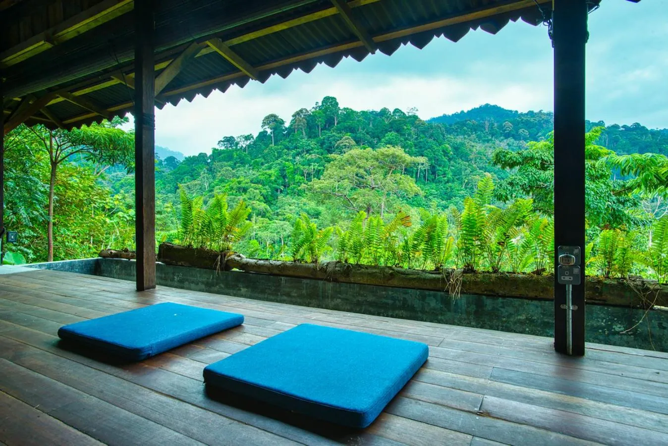 View (from property/room) in The Dusun