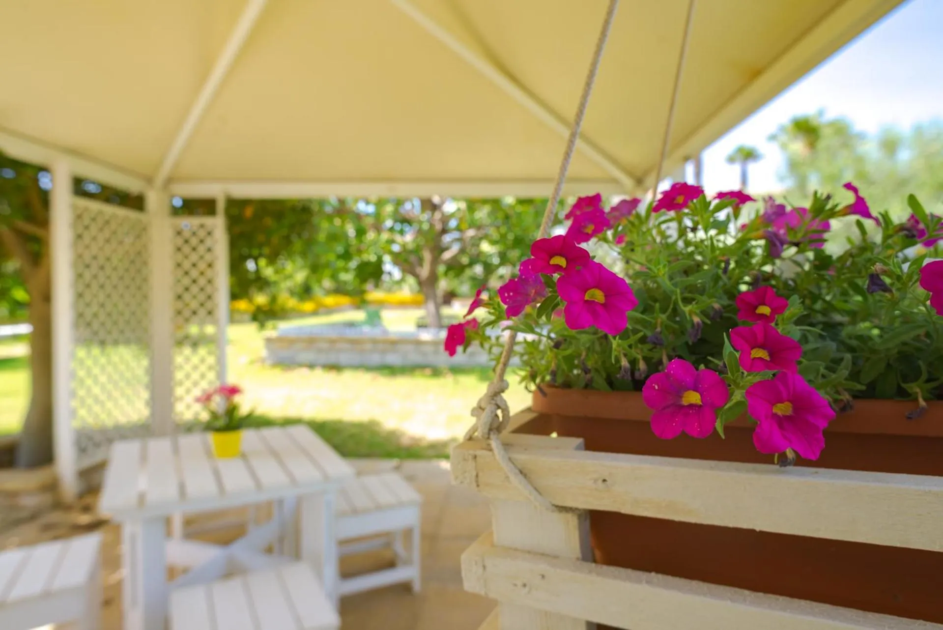 Garden in Hotel Jonio