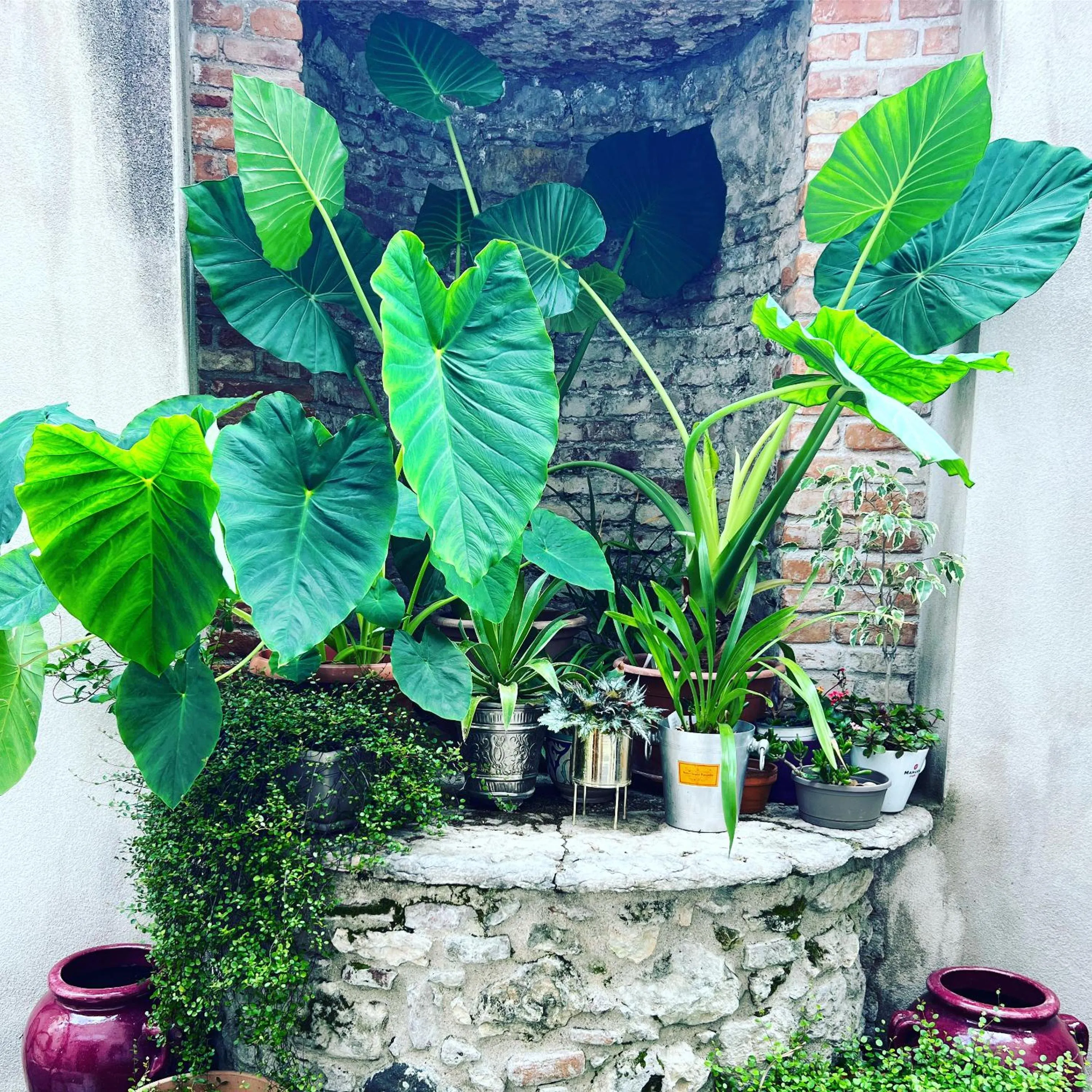 Garden in Pietra di Verona Residenza