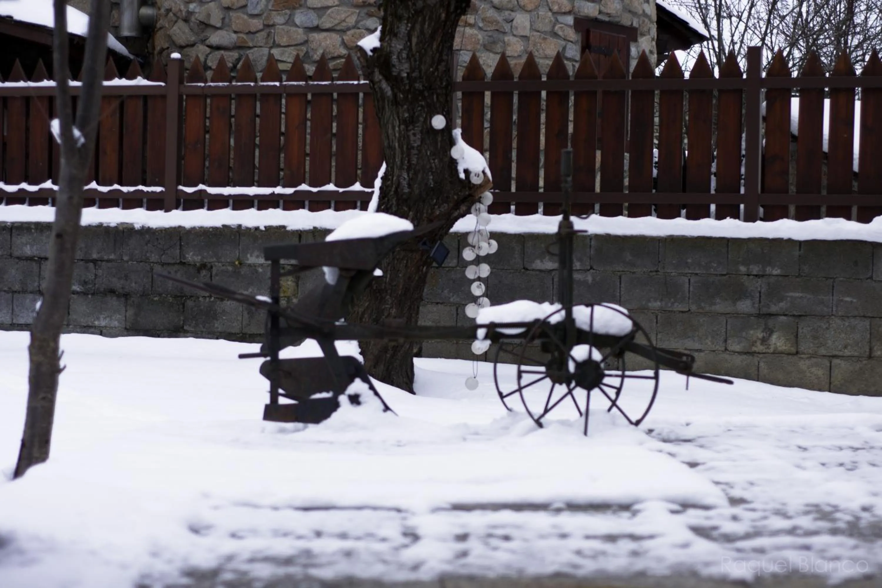Garden in Hotel Saueth