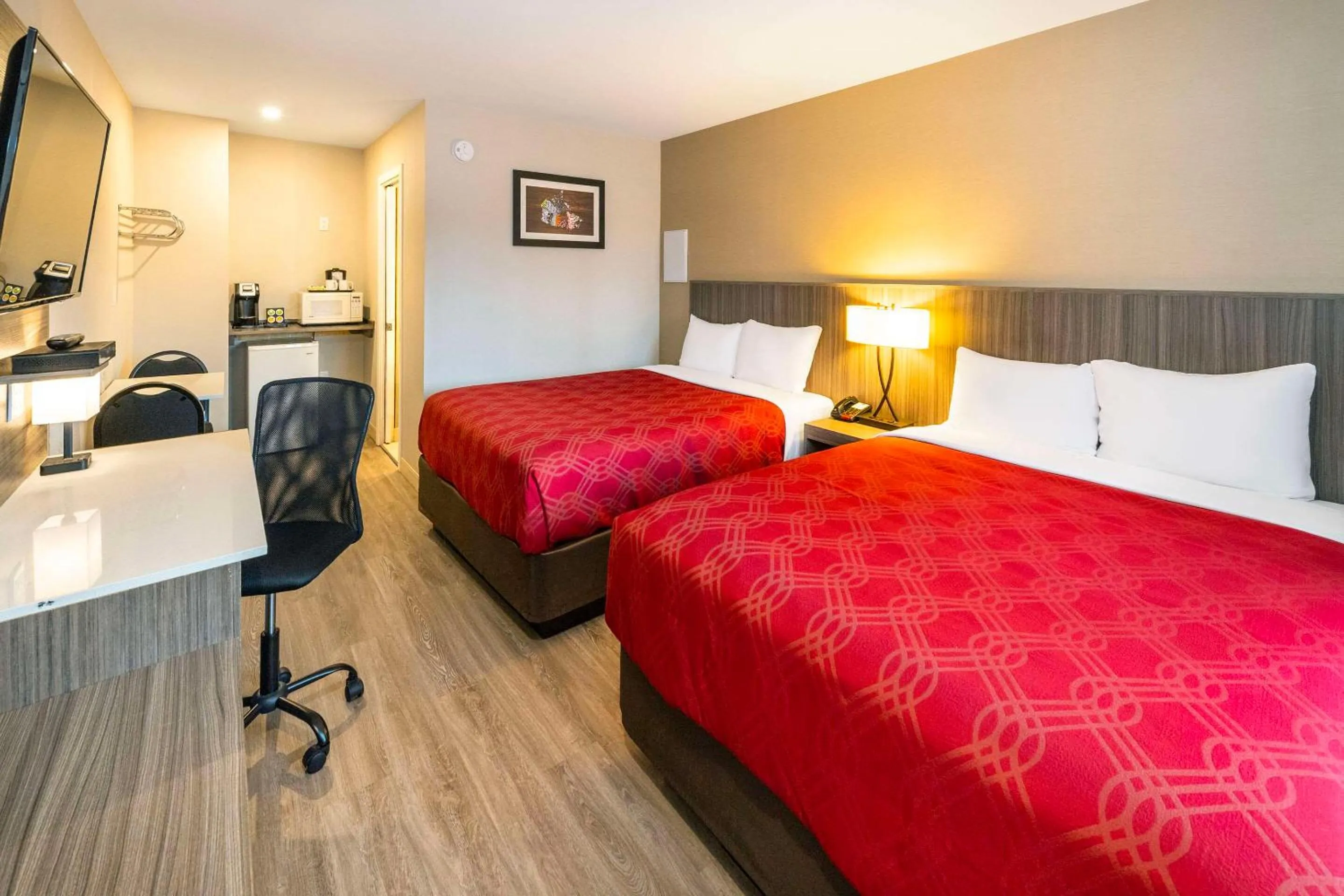 Bedroom, Bed in Econo Lodge Inn & Suites