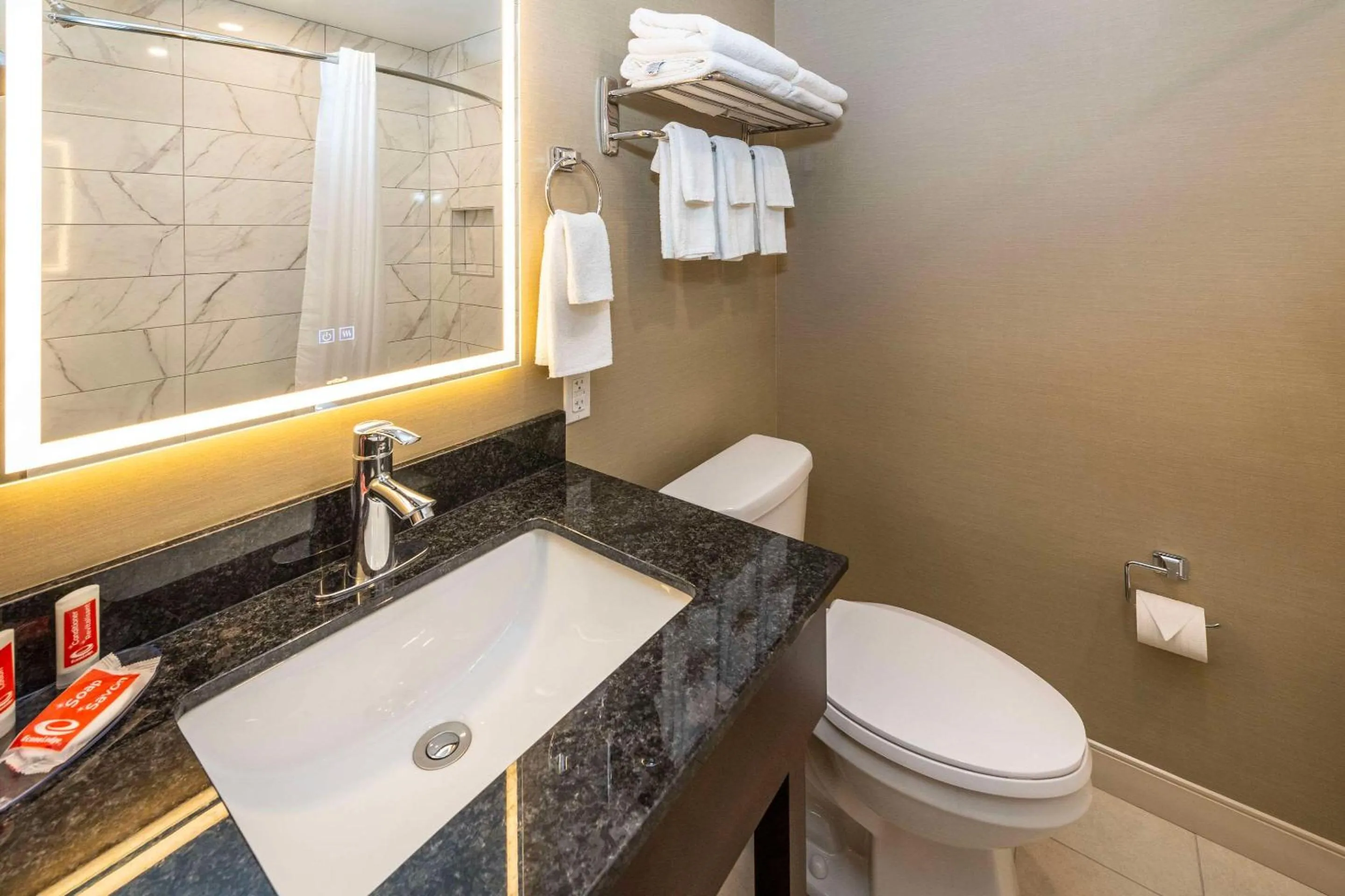 Bedroom in Econo Lodge Inn & Suites