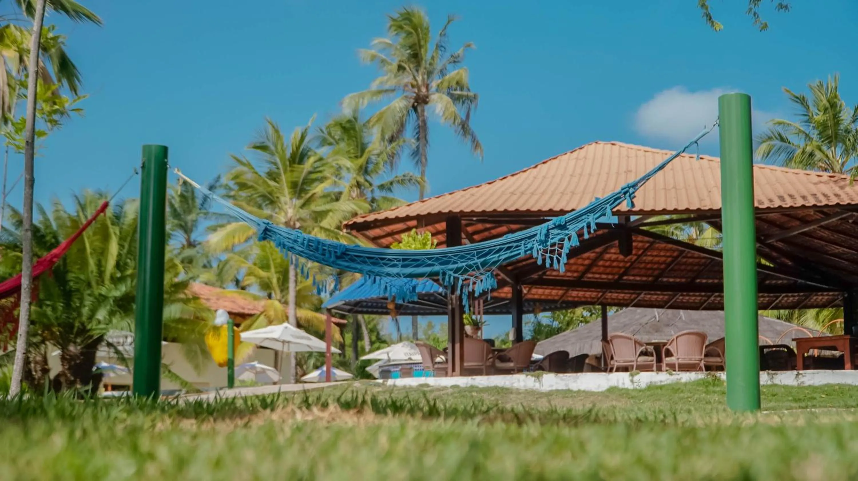 Garden in Orange Praia Hotel