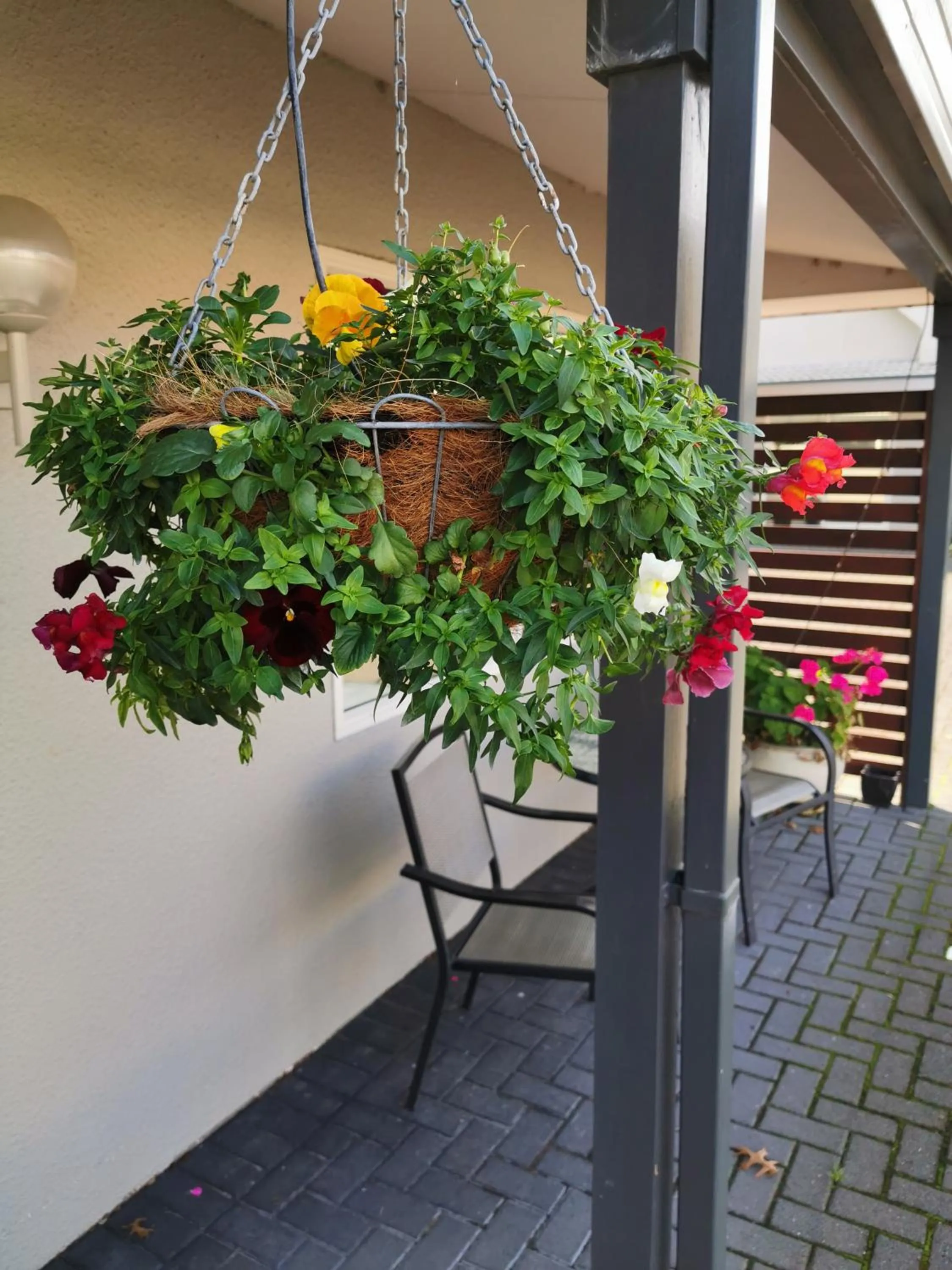 Garden view in Capri on Fenton