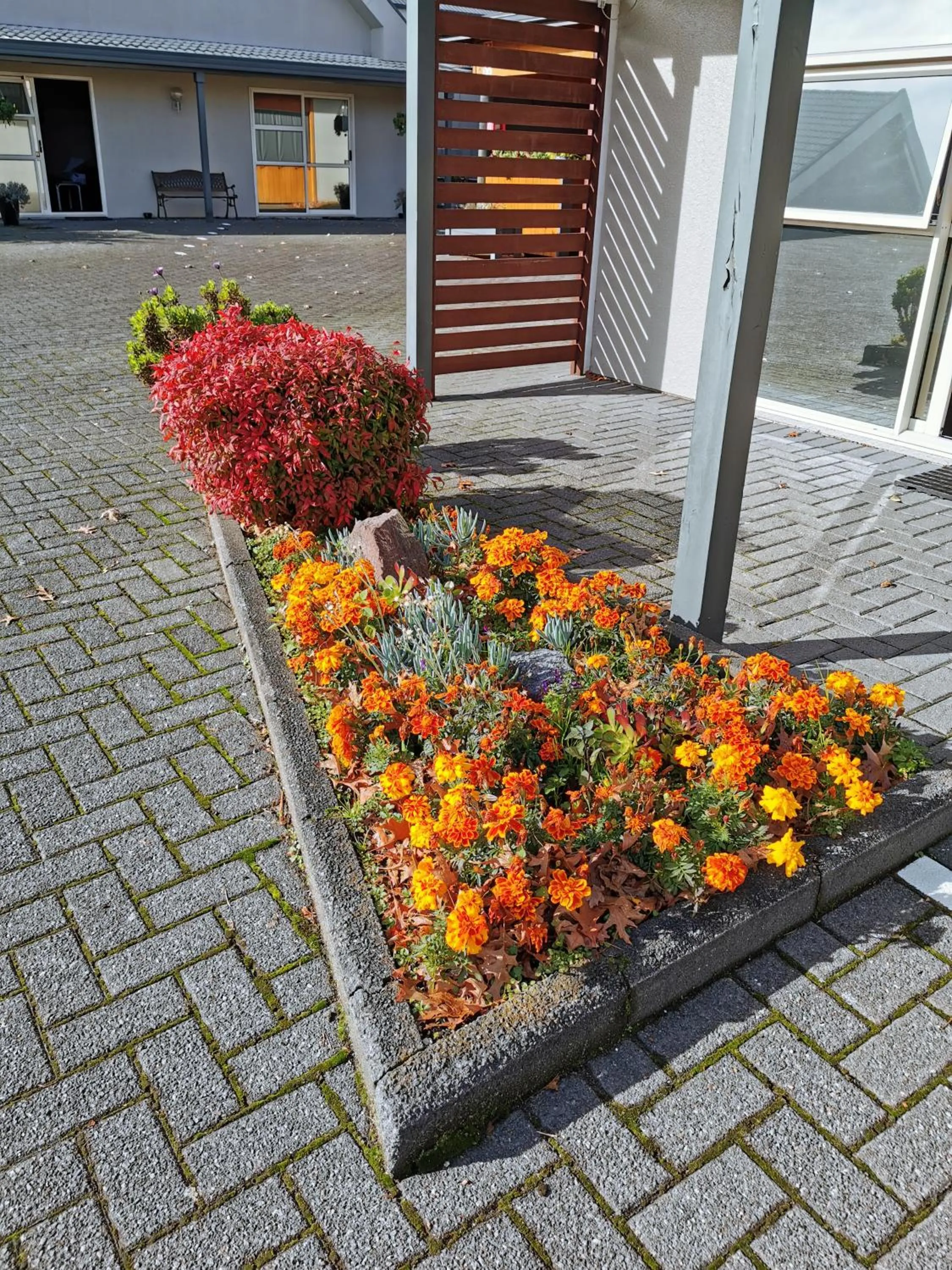 Garden in Capri on Fenton