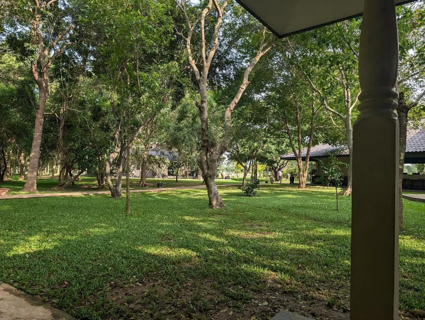 Natural landscape in Kassapa Lions Rock