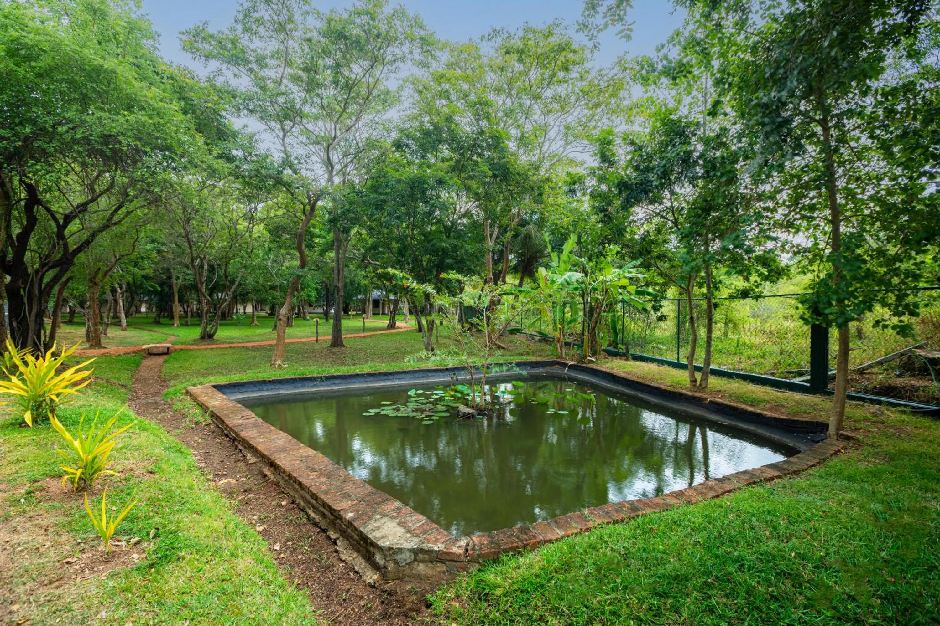 Day in Kassapa Lions Rock