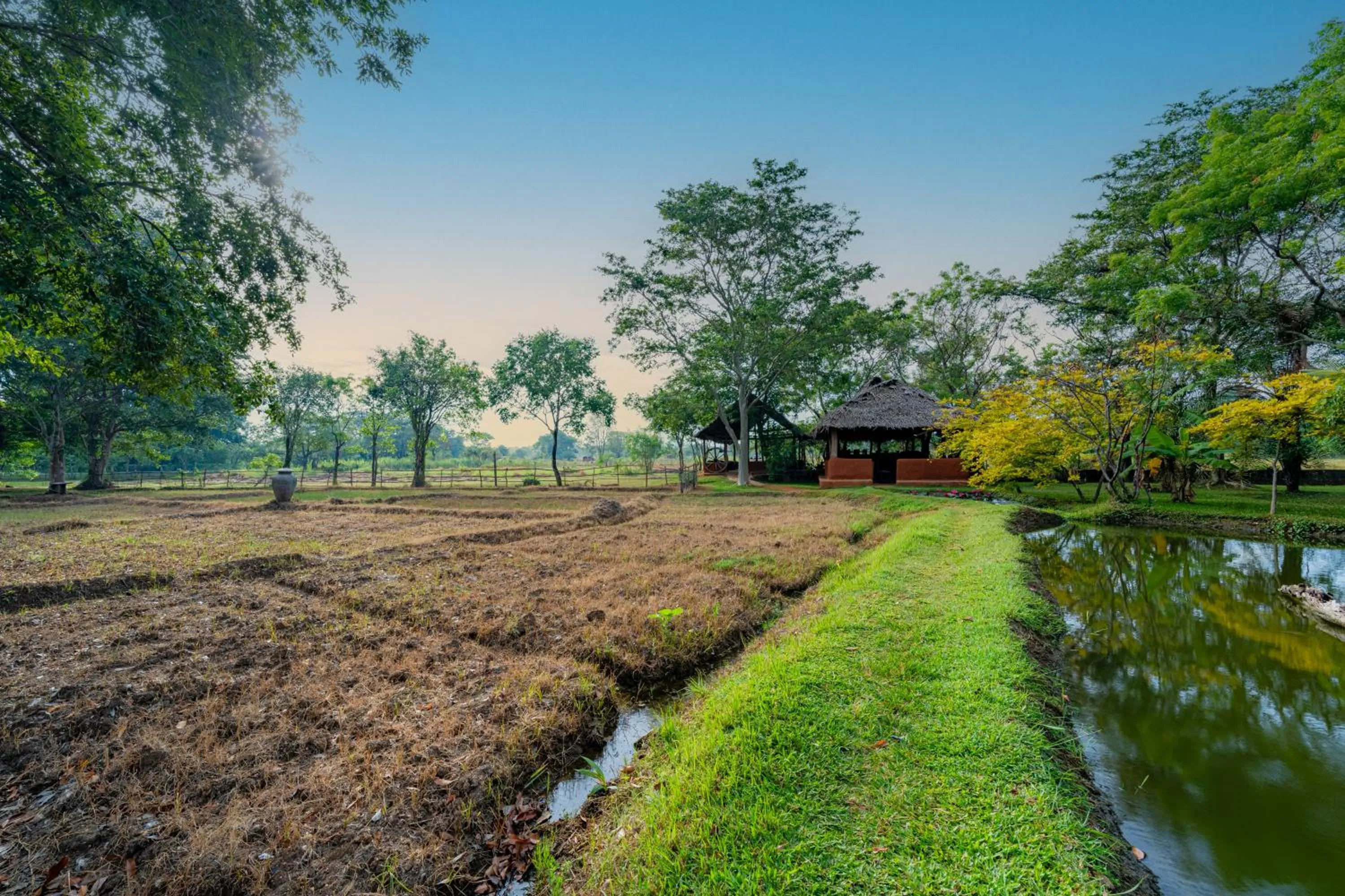 Natural landscape in Kassapa Lions Rock