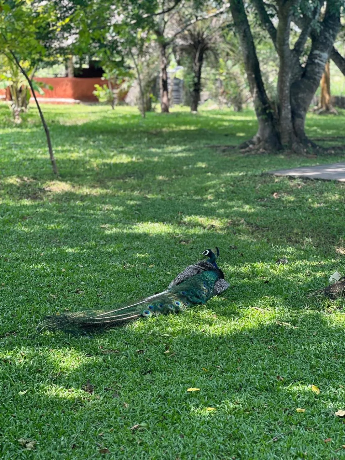 Natural landscape in Kassapa Lions Rock