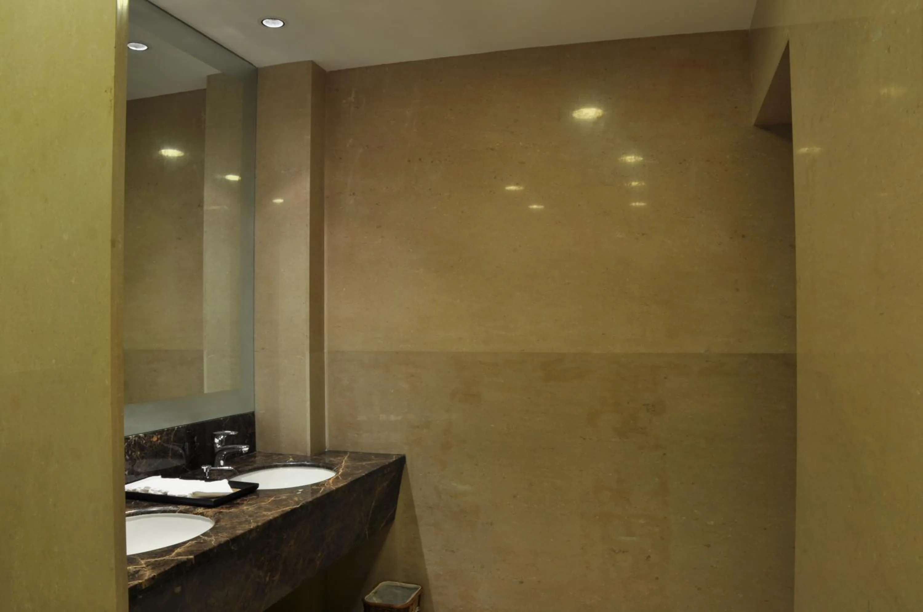 Toilet in Adarsh Hamilton