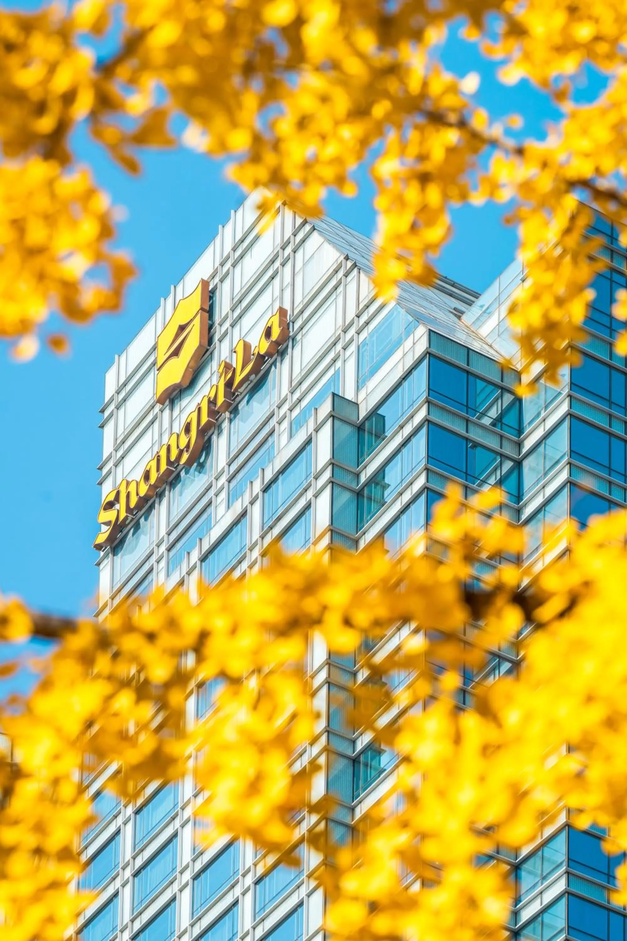 Property building in Shangri-La Chengdu