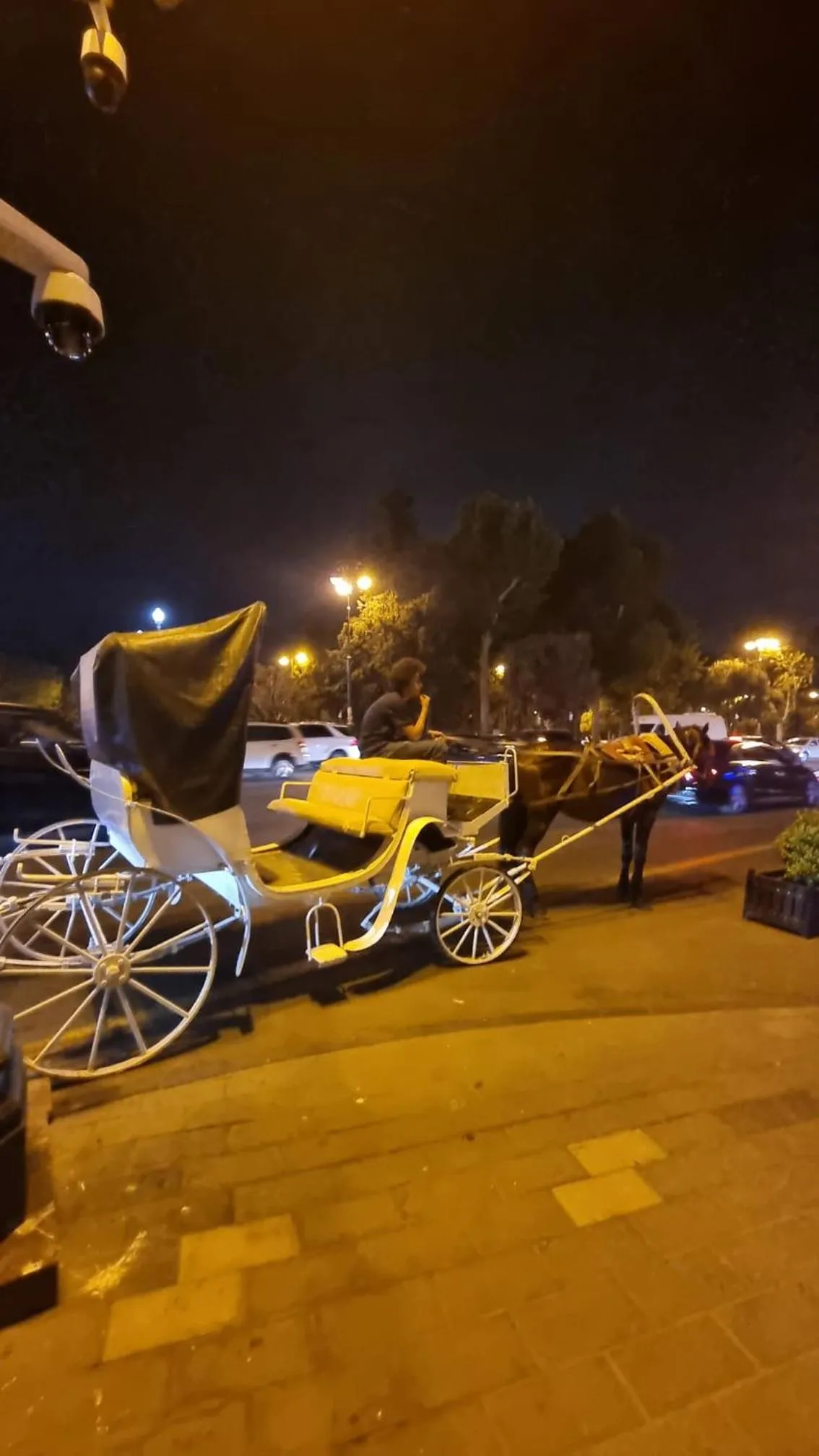 Horse-riding in Sultan Inn Boutique Hotel