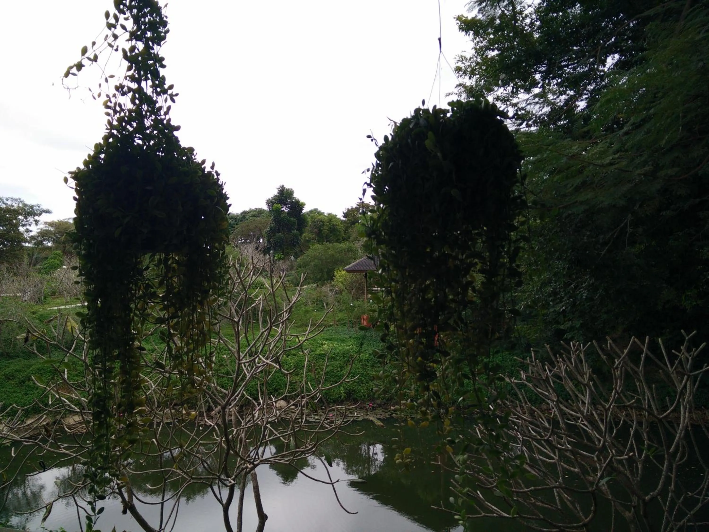 Garden in Lilawalai Resort