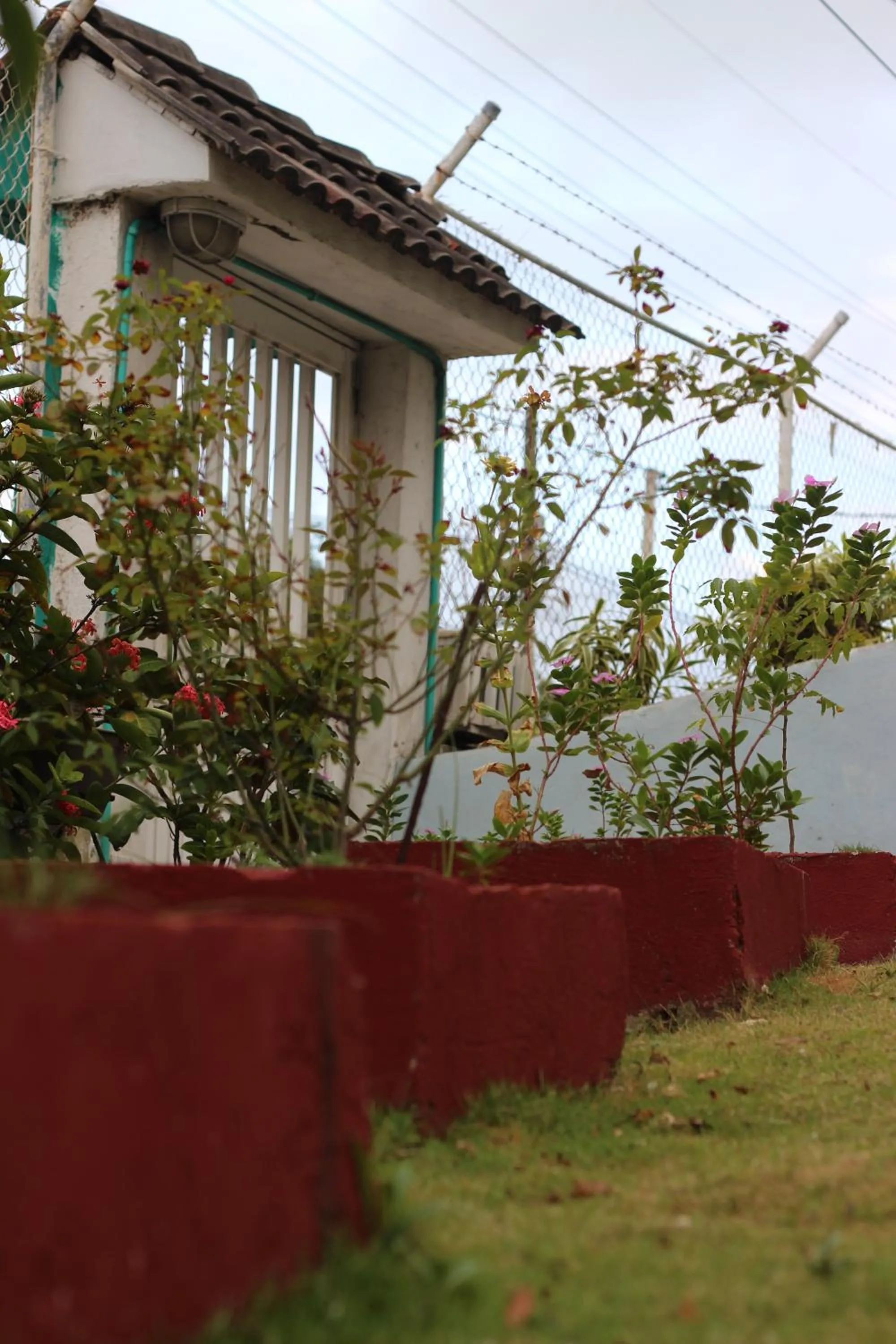 Posada Nativa Miss Trinie