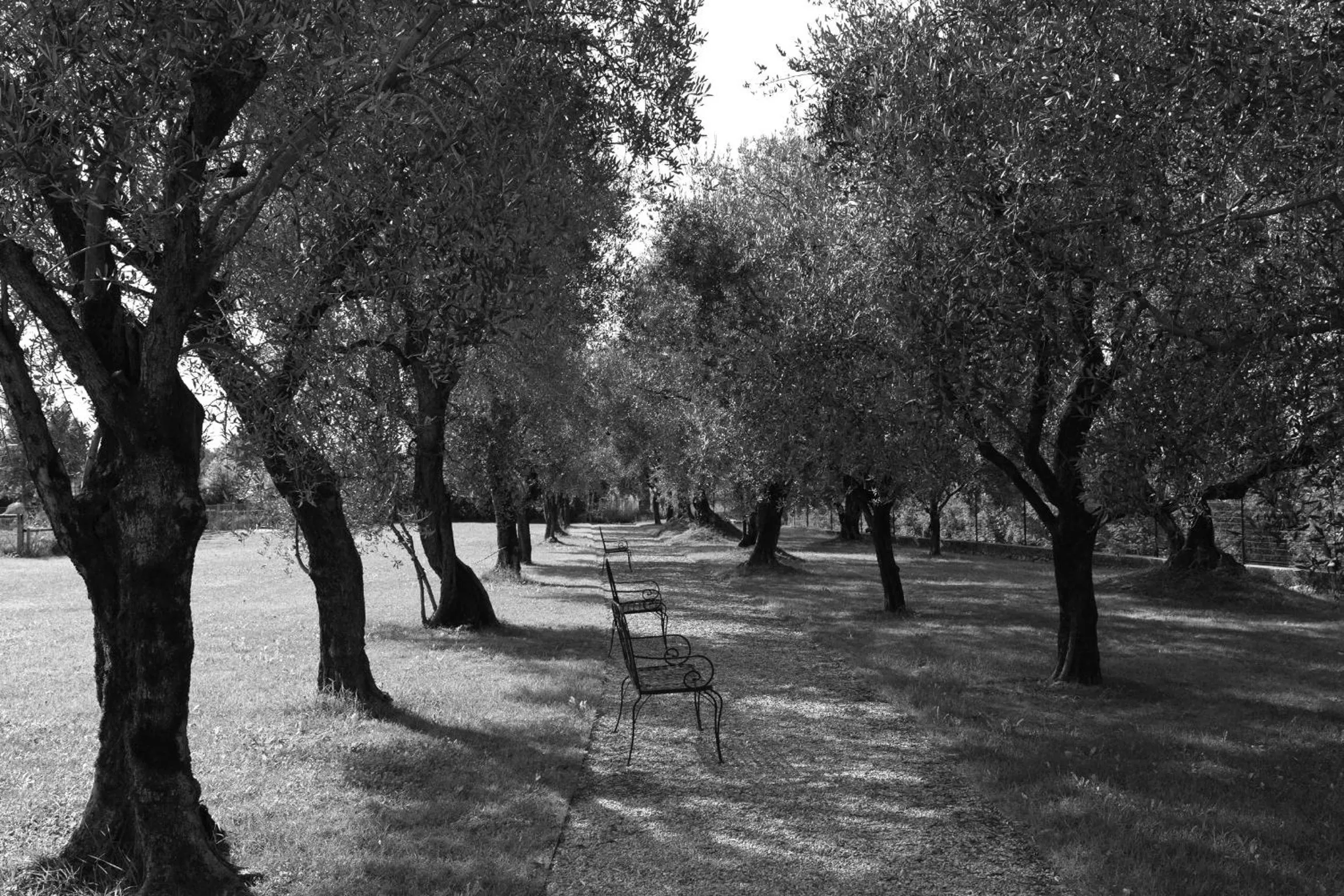 Garden in Hotel Villa Ca' Sette