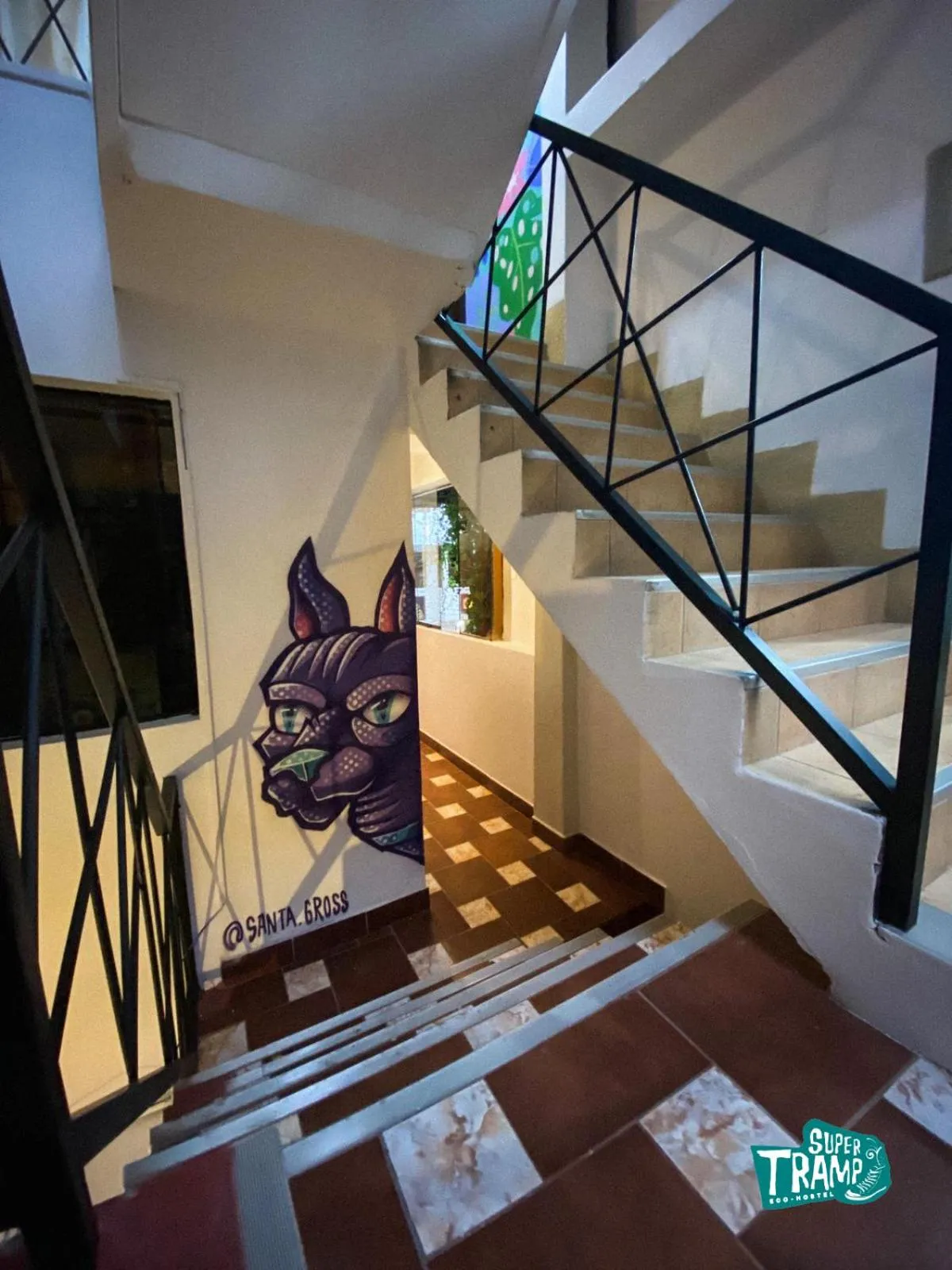 Pets in Supertramp Hostel Machupicchu