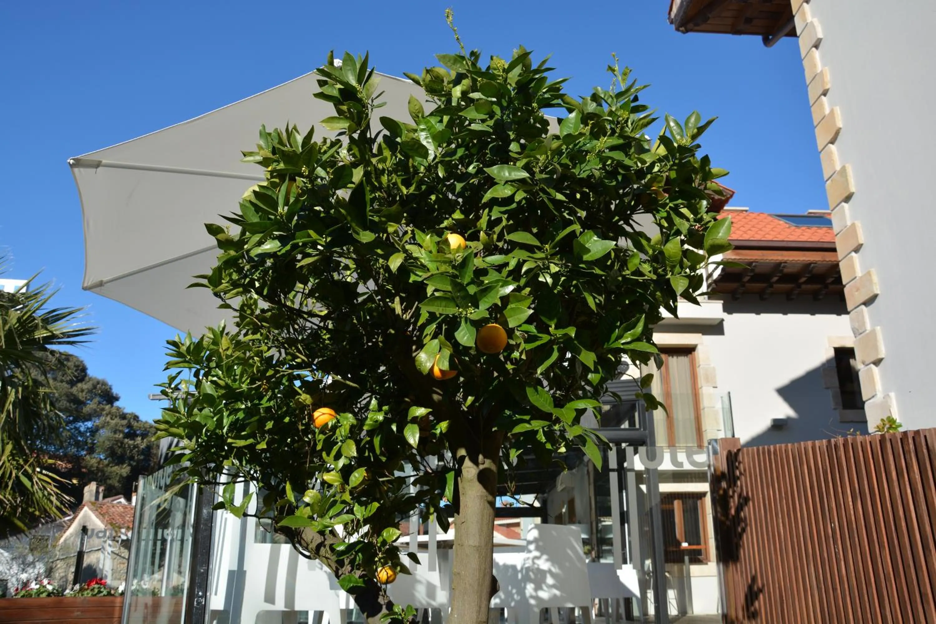 Facade/entrance in Tinas de Pechon