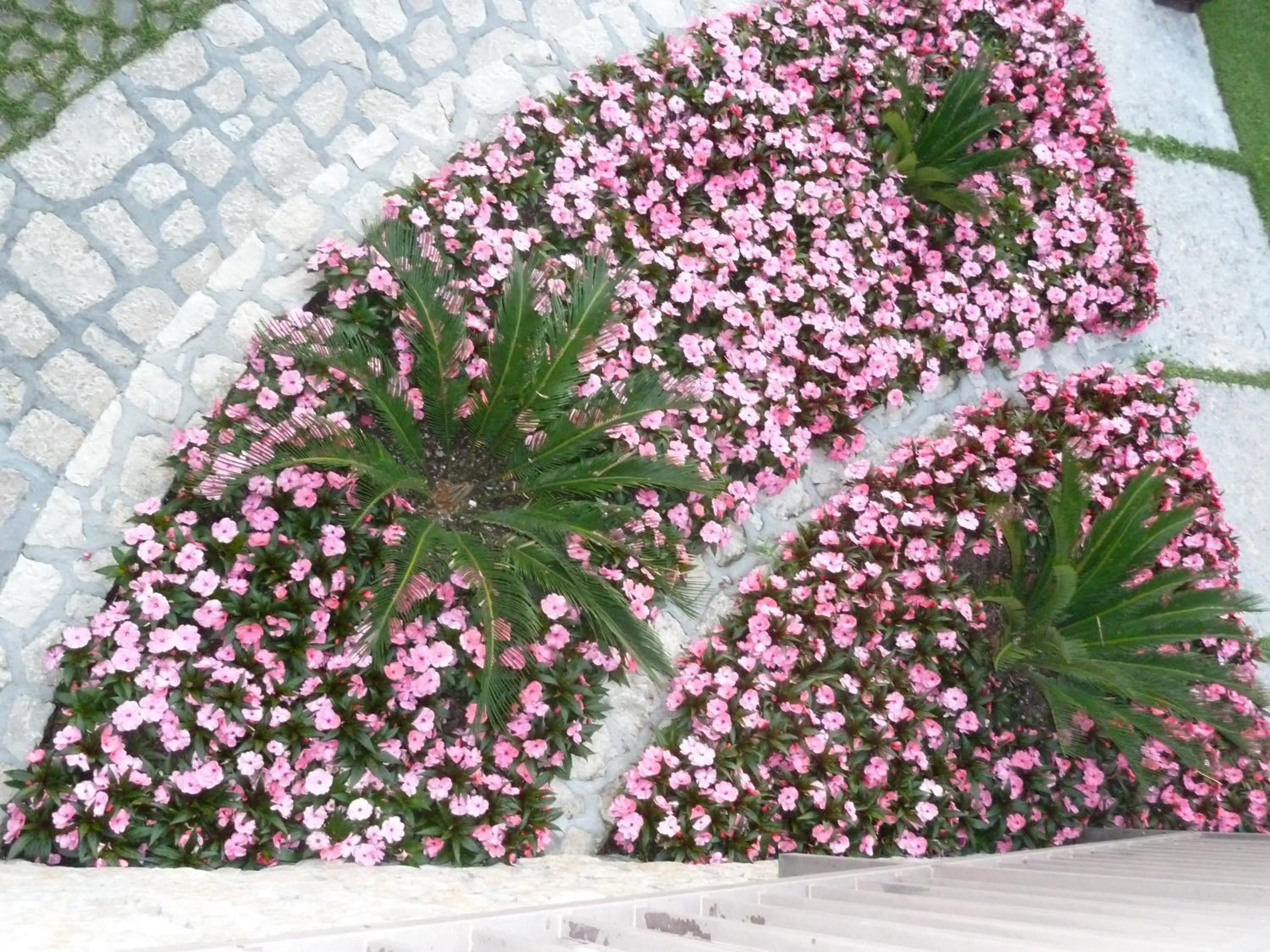 Garden view in Albergo Casa Este