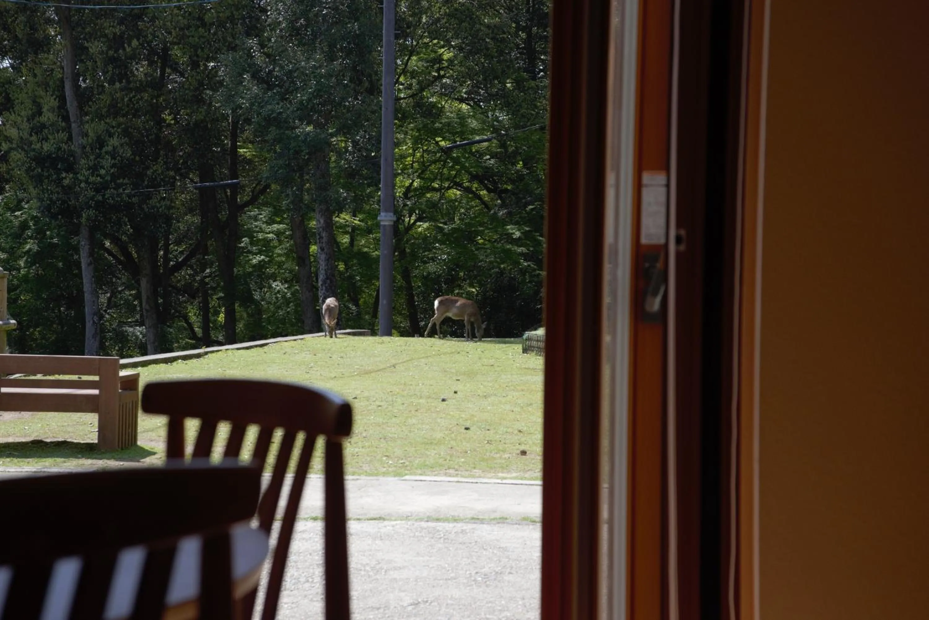 Mountain Home Lodge in Deer Park