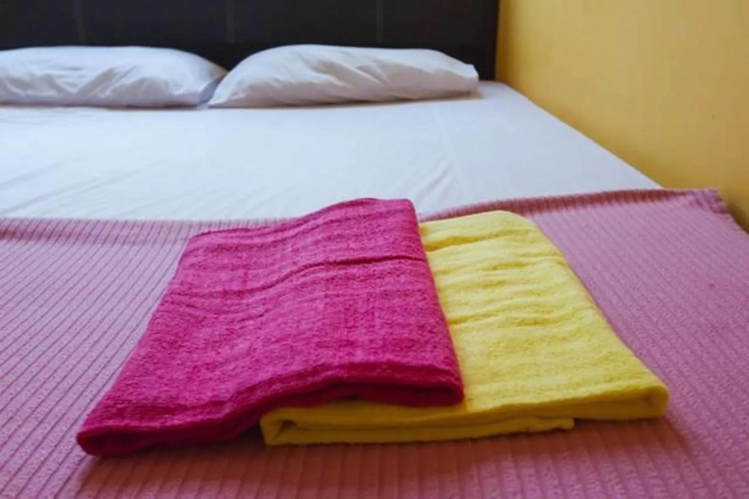 Bed in Cocoa Mews Cafe and Homestay