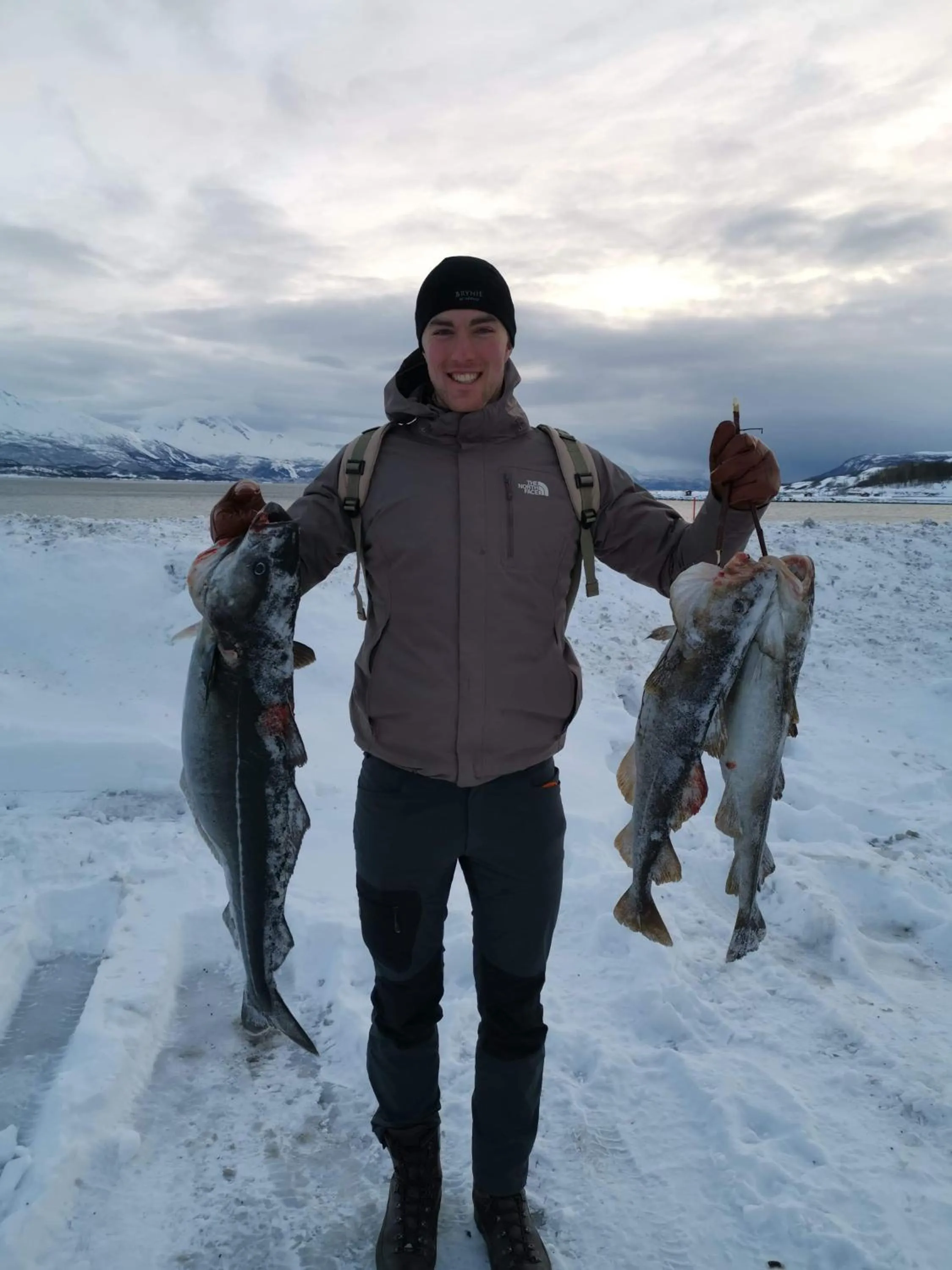 Natural landscape in Bjerkvik Hotell